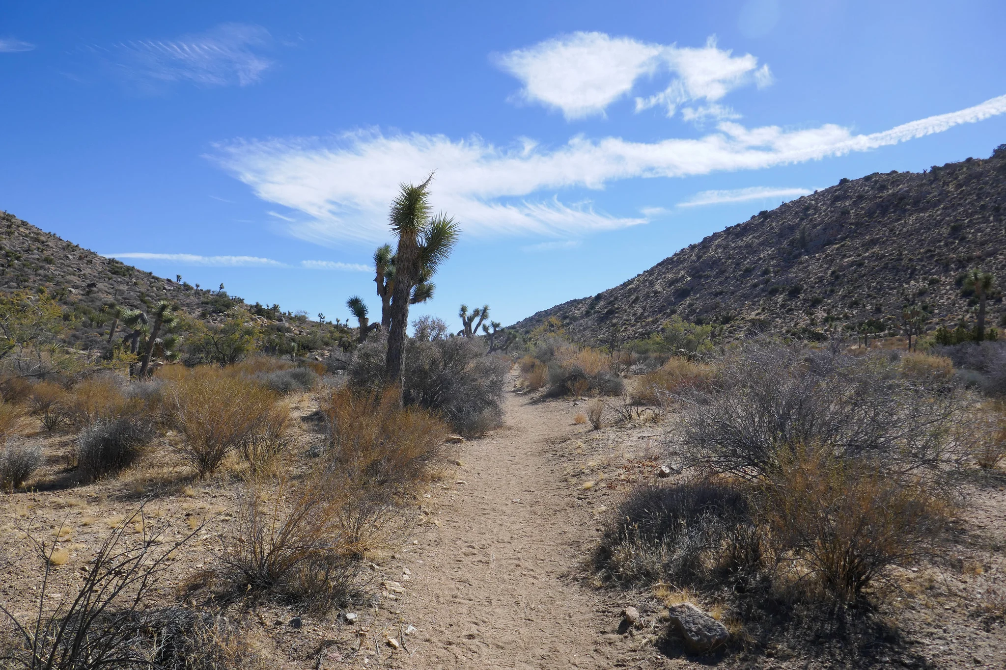 Heading straight into the backcountry on the California Riding and Hiking Trail.