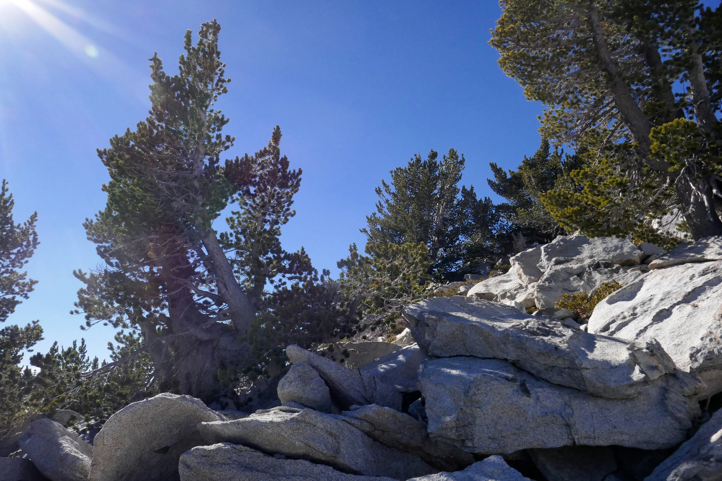 There is no set trail to the peak.