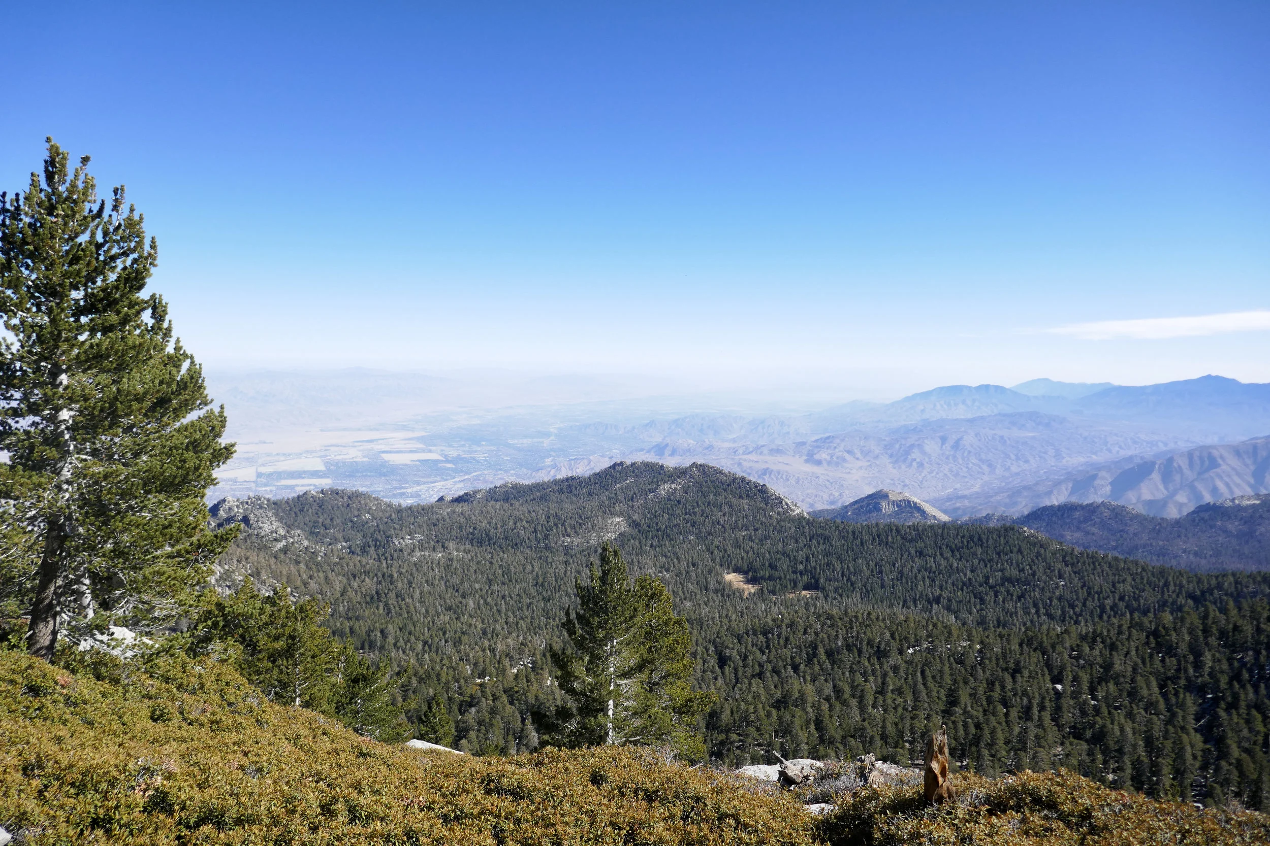lrP1010991-Edit.jpg
