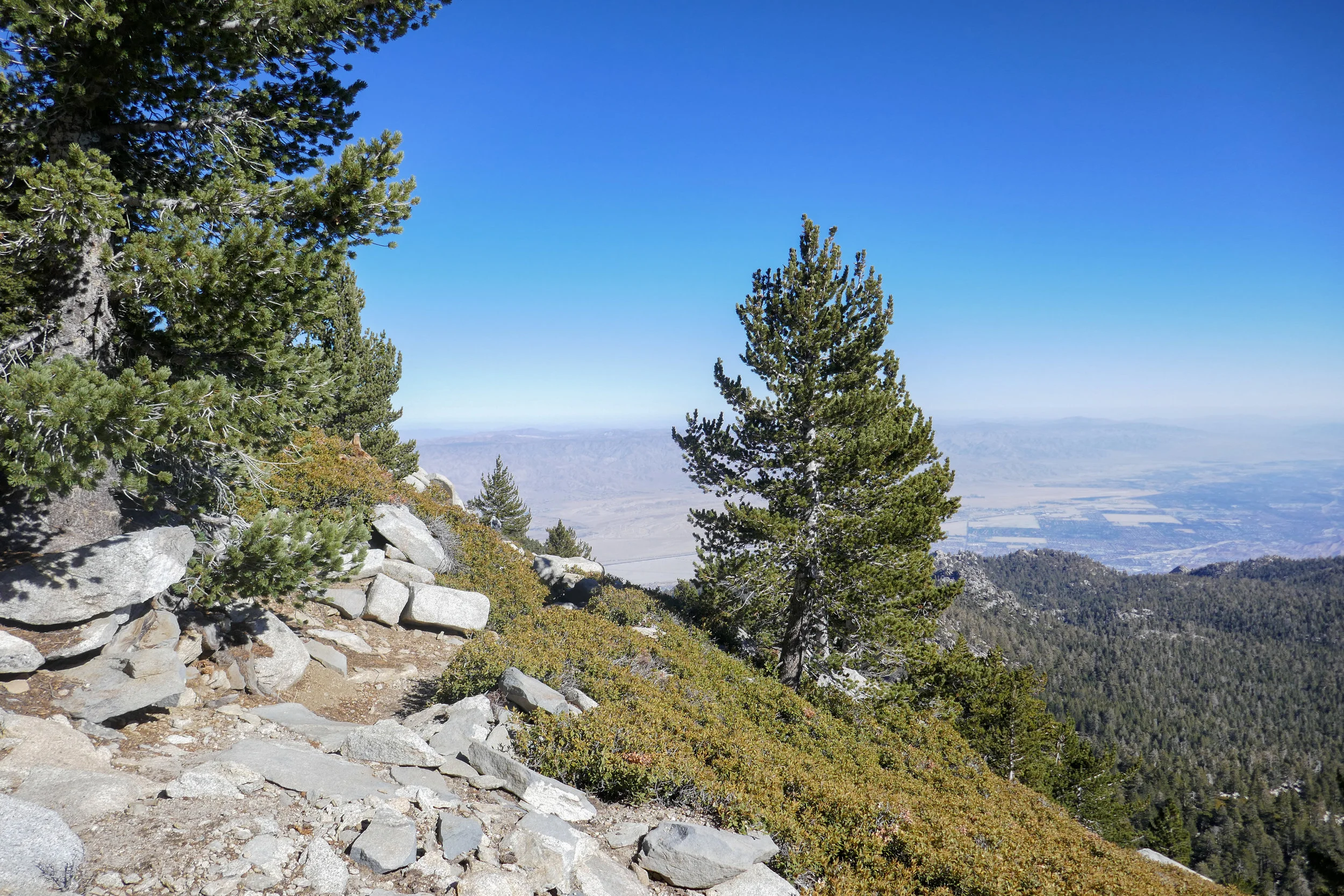 lrP1010992-Edit.jpg