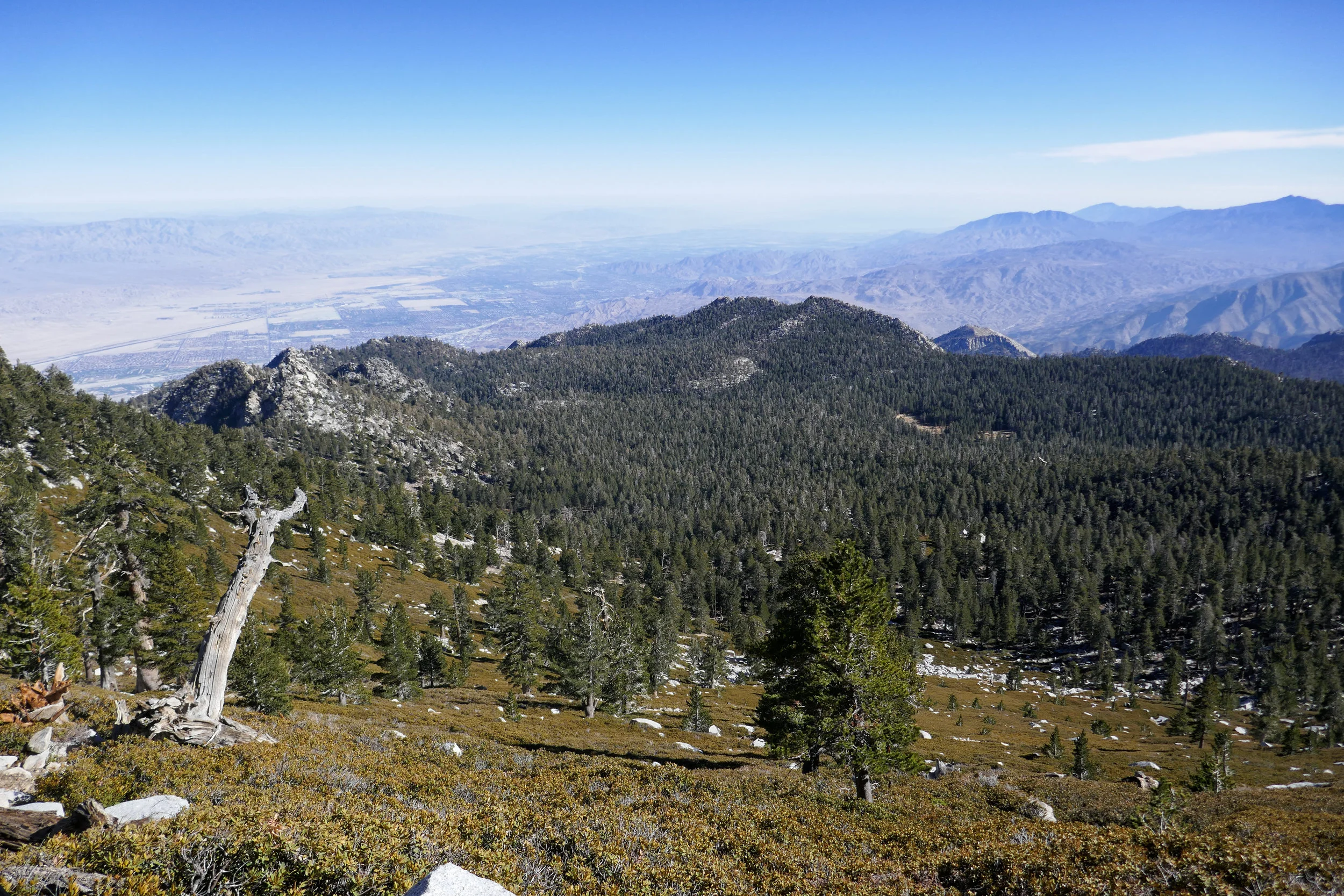 lrP1020005-Edit.jpg