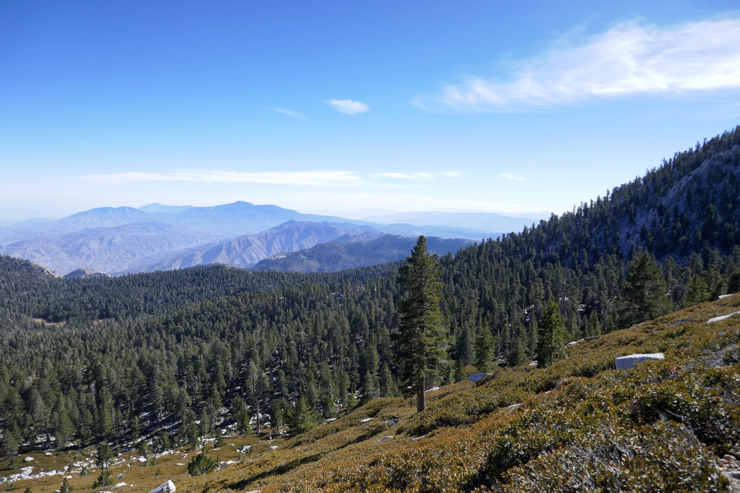 lrP1020017-Edit.jpg
