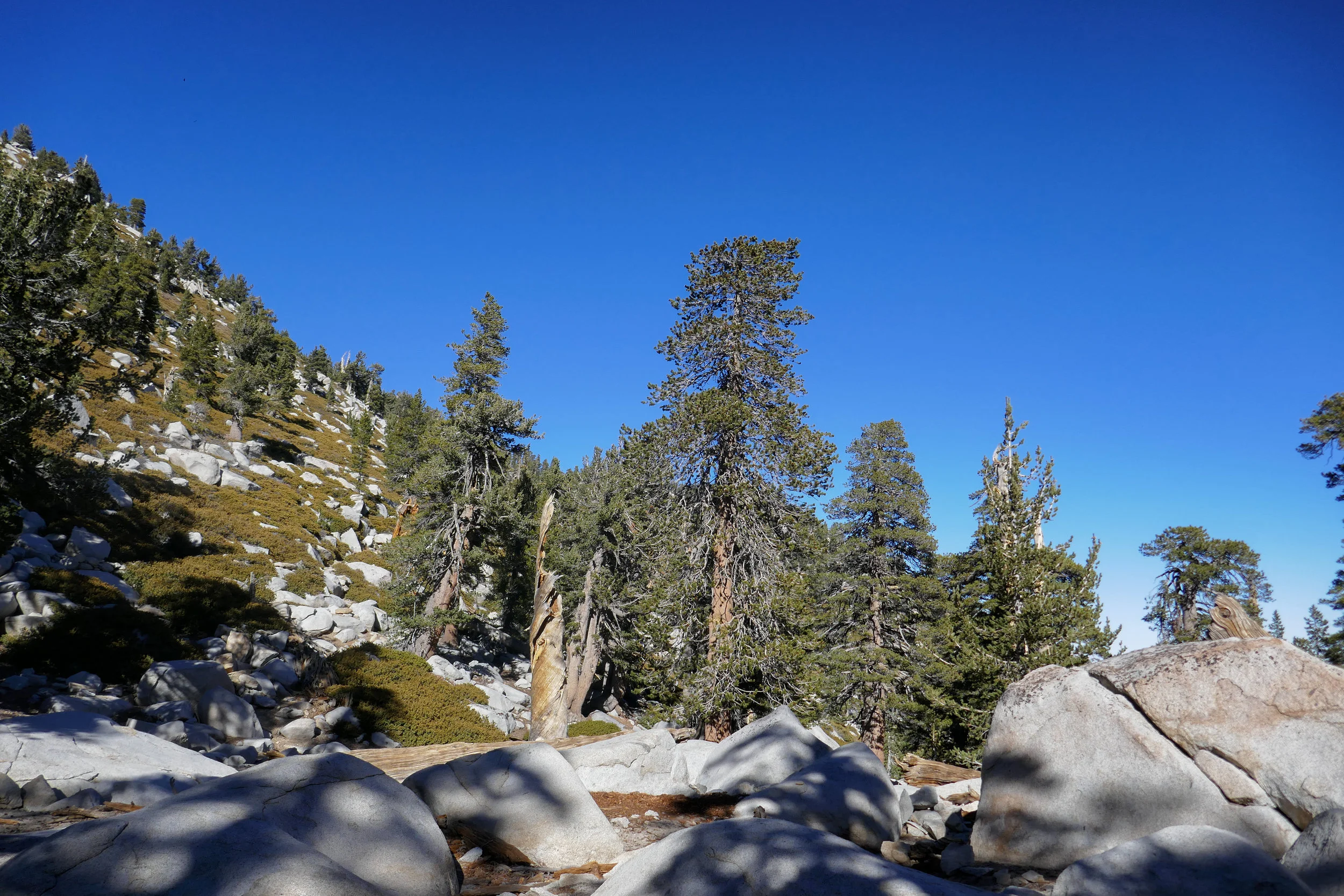 lrP1020025-Edit.jpg