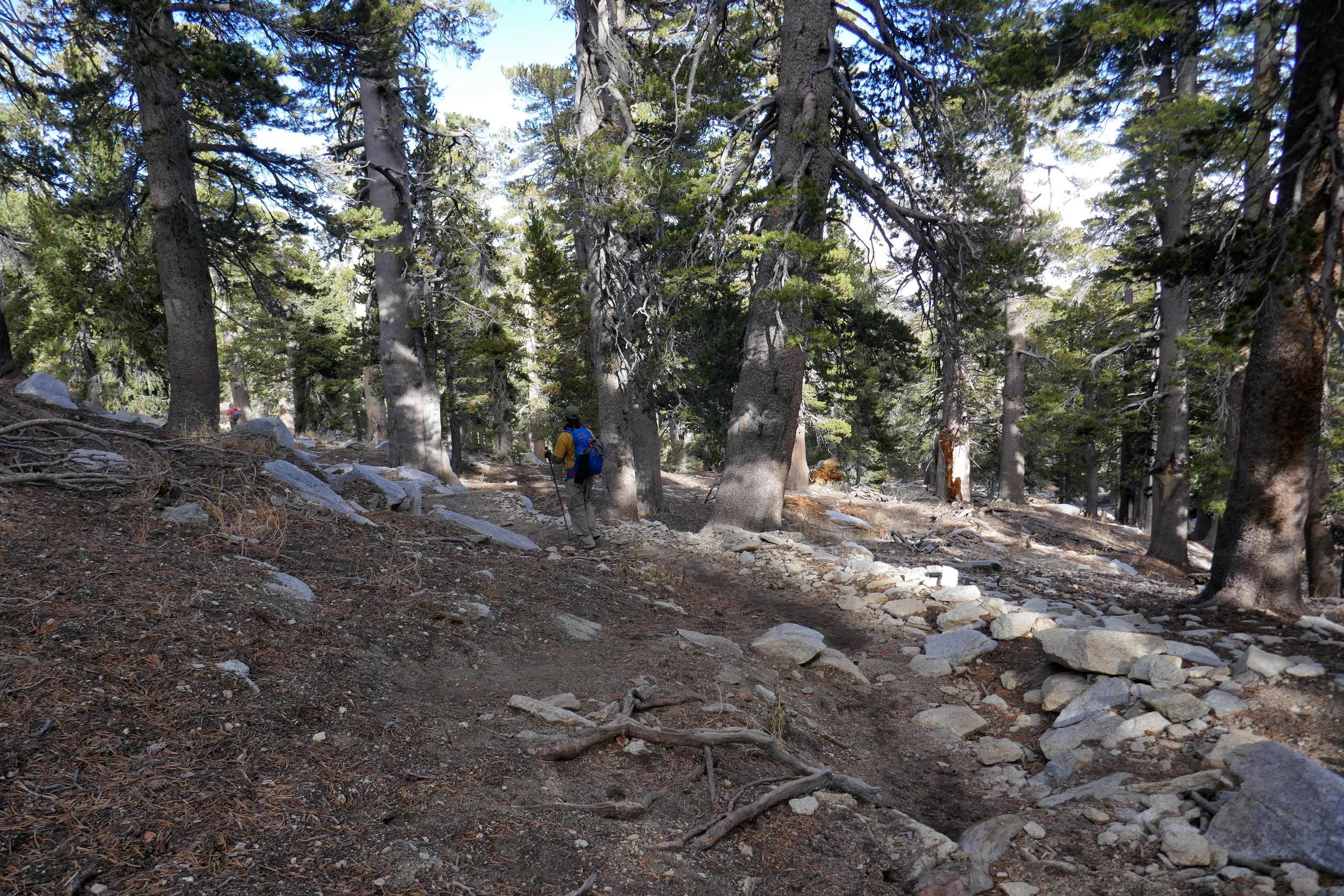 Hiking back down through the forest.