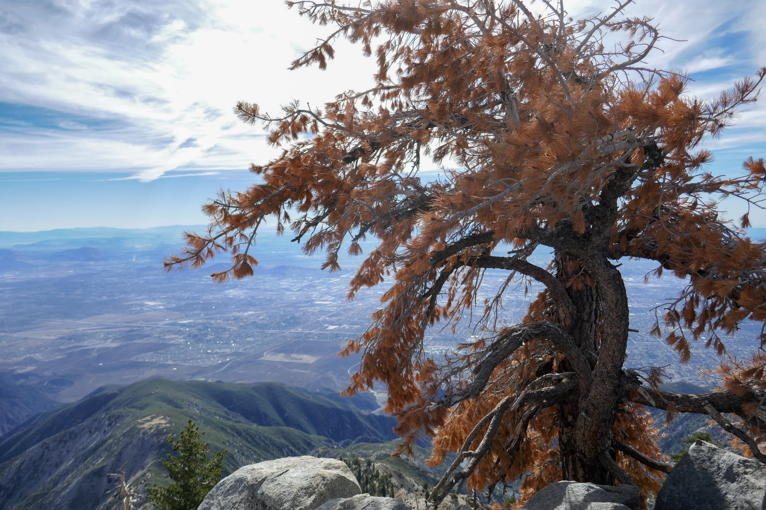 lrP1020150-Edit.jpg