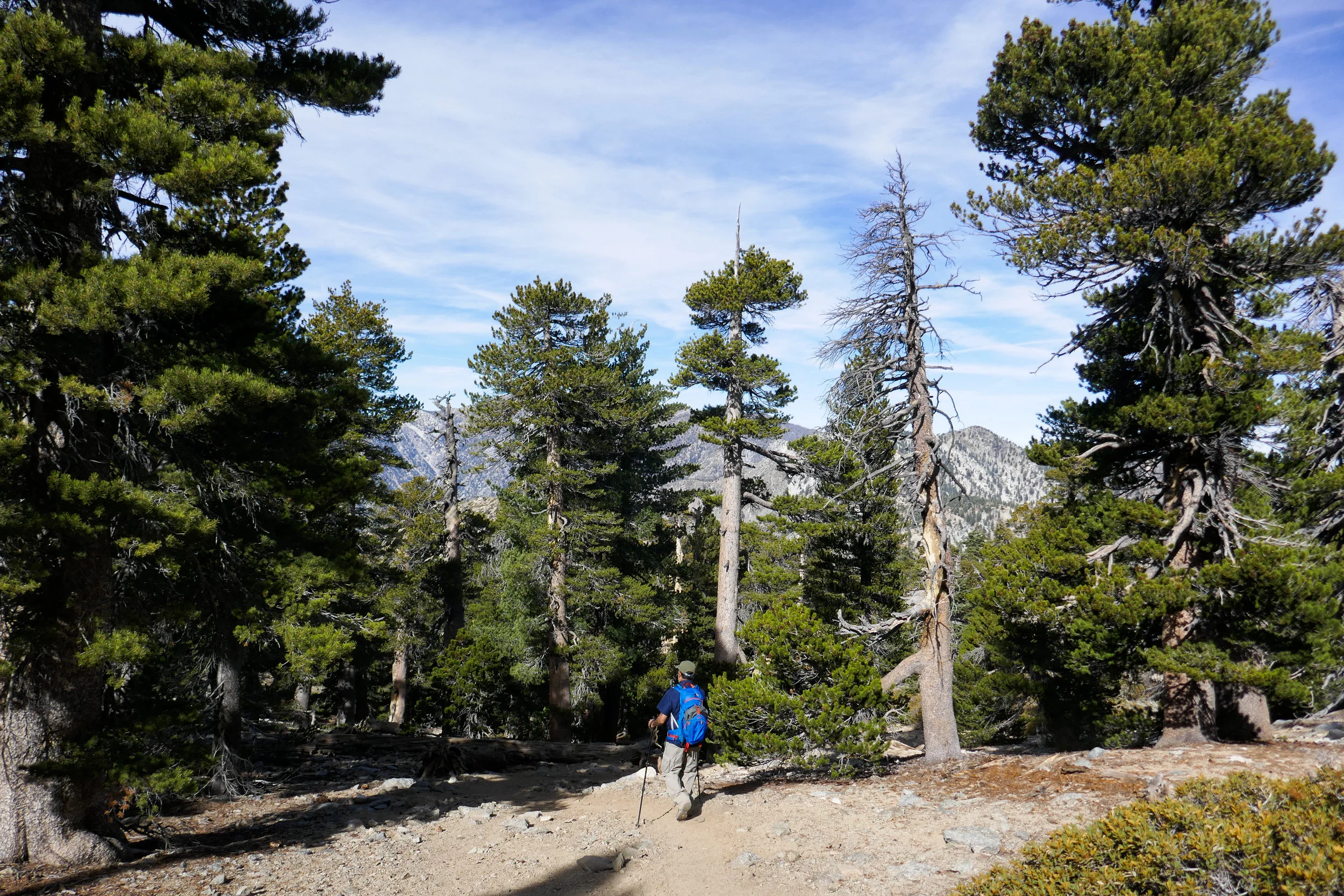Heading back down the spur trail.