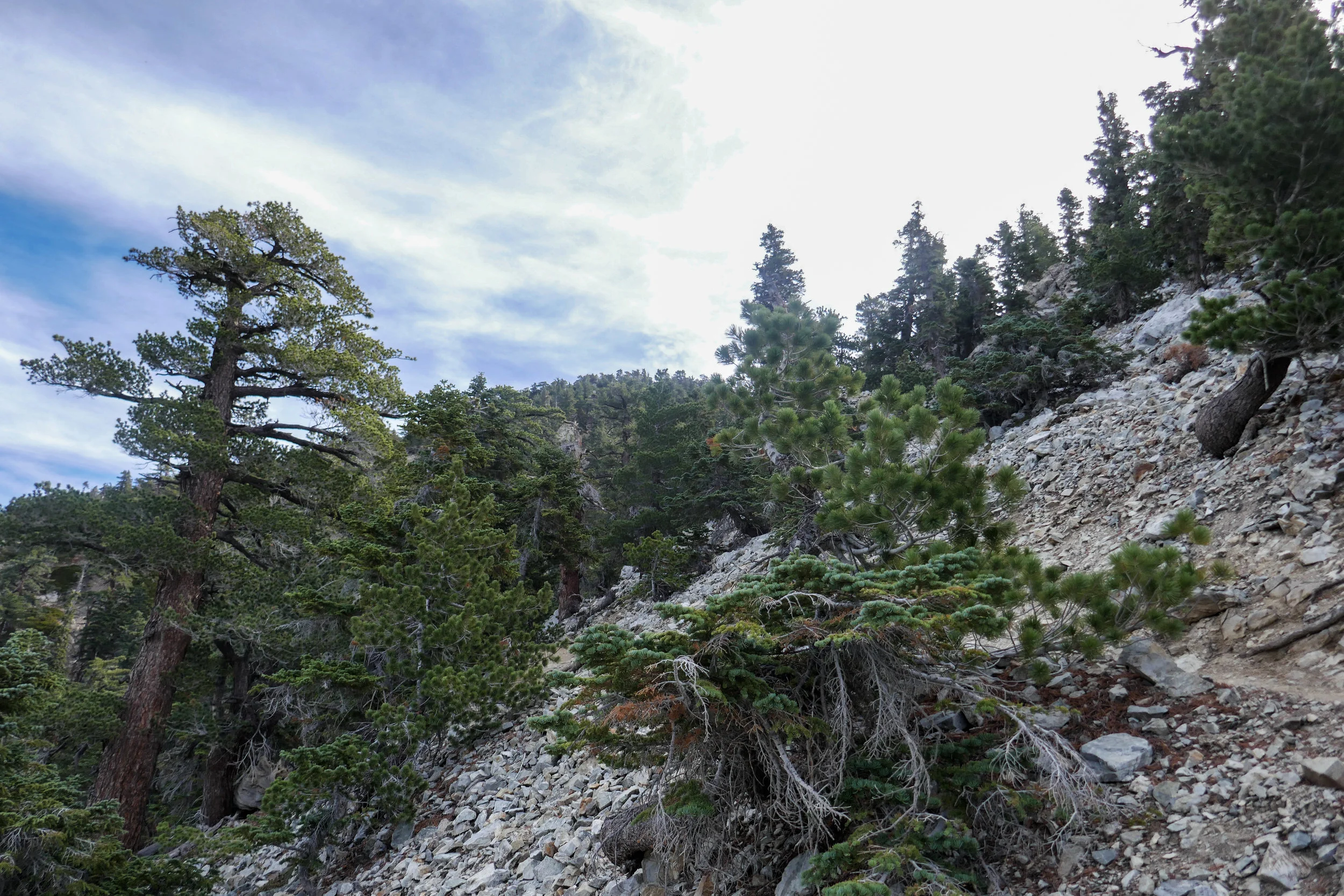 Looking back and what we just climbed.