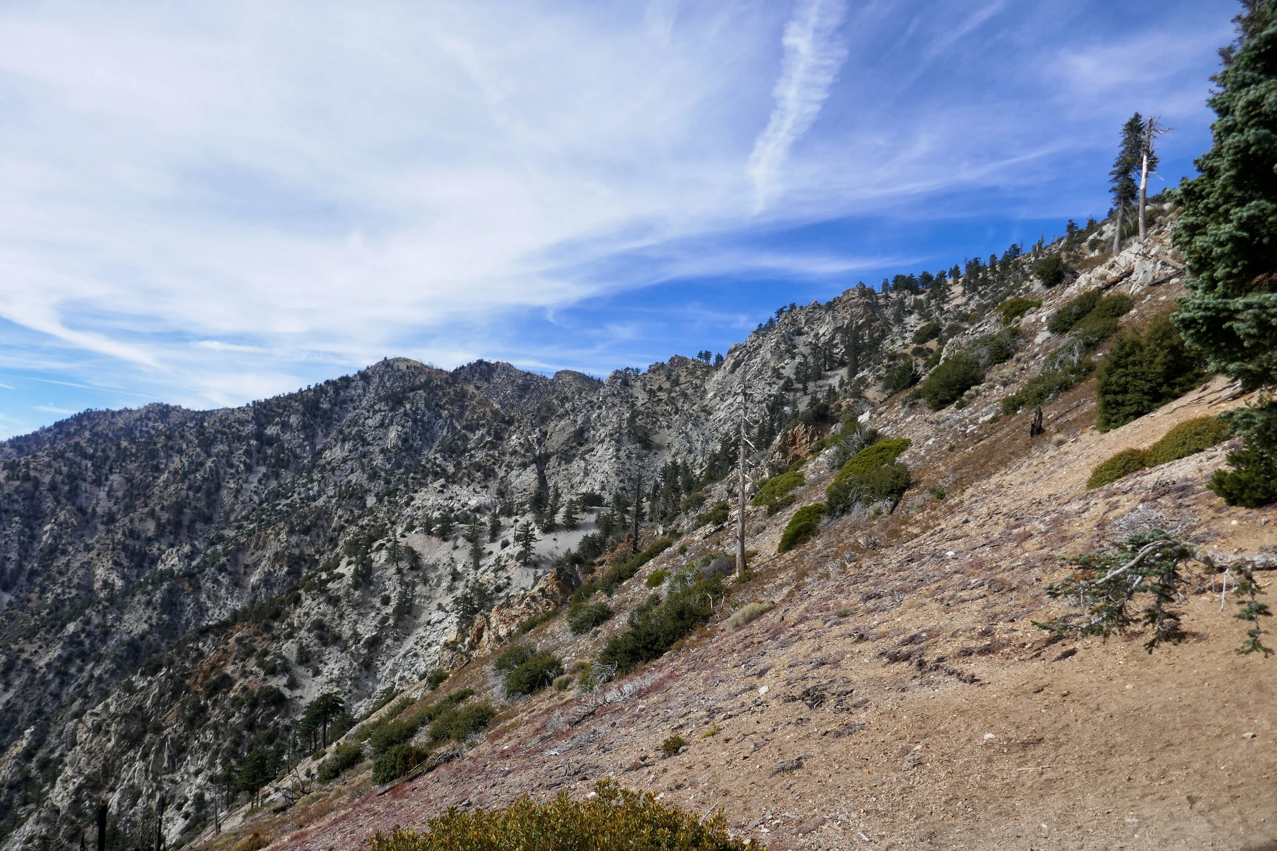 At Cucamonga Saddle. Almost back to Icehouse Saddle.