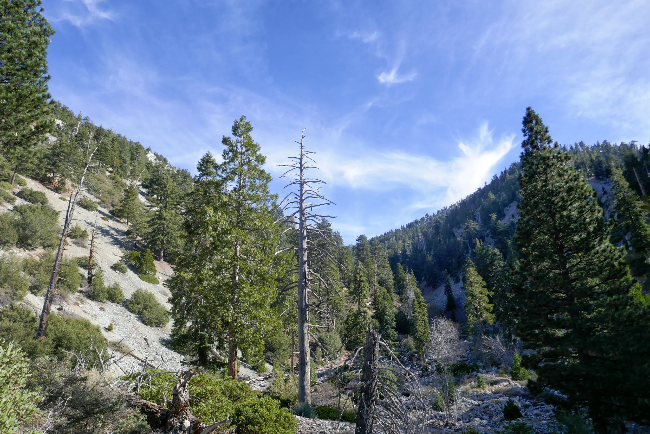 Looking back at Icehouse Saddle.