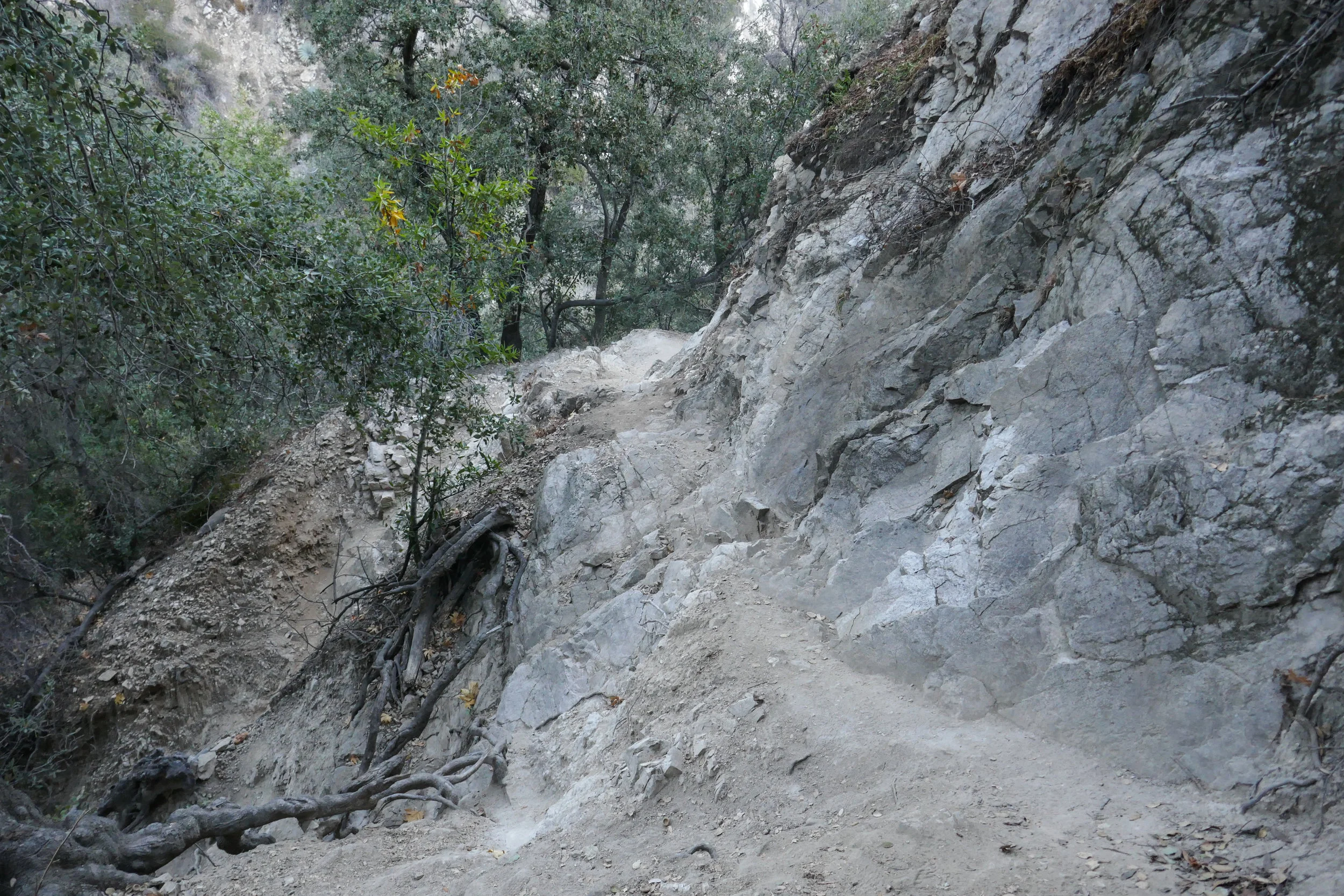 Another photo of the trail where you have to watch your step.