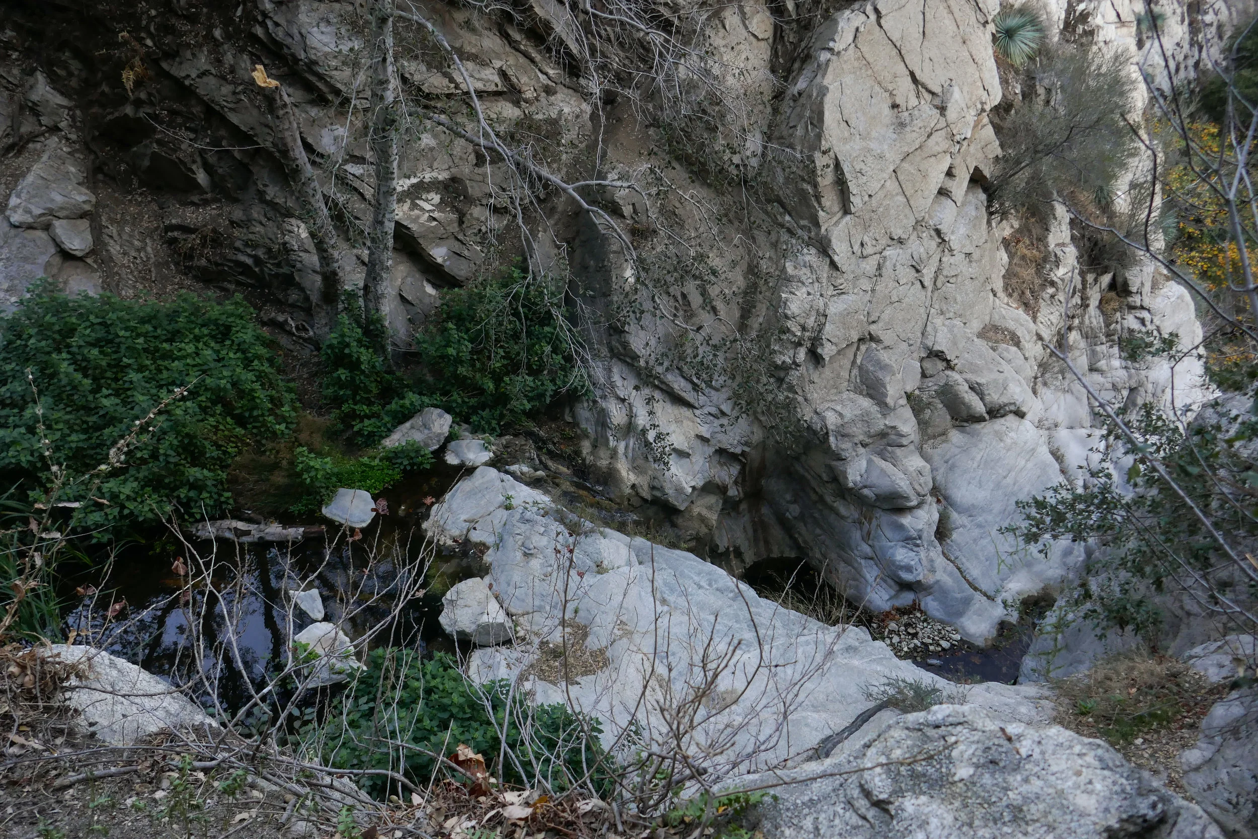lrP1020442-2.jpg