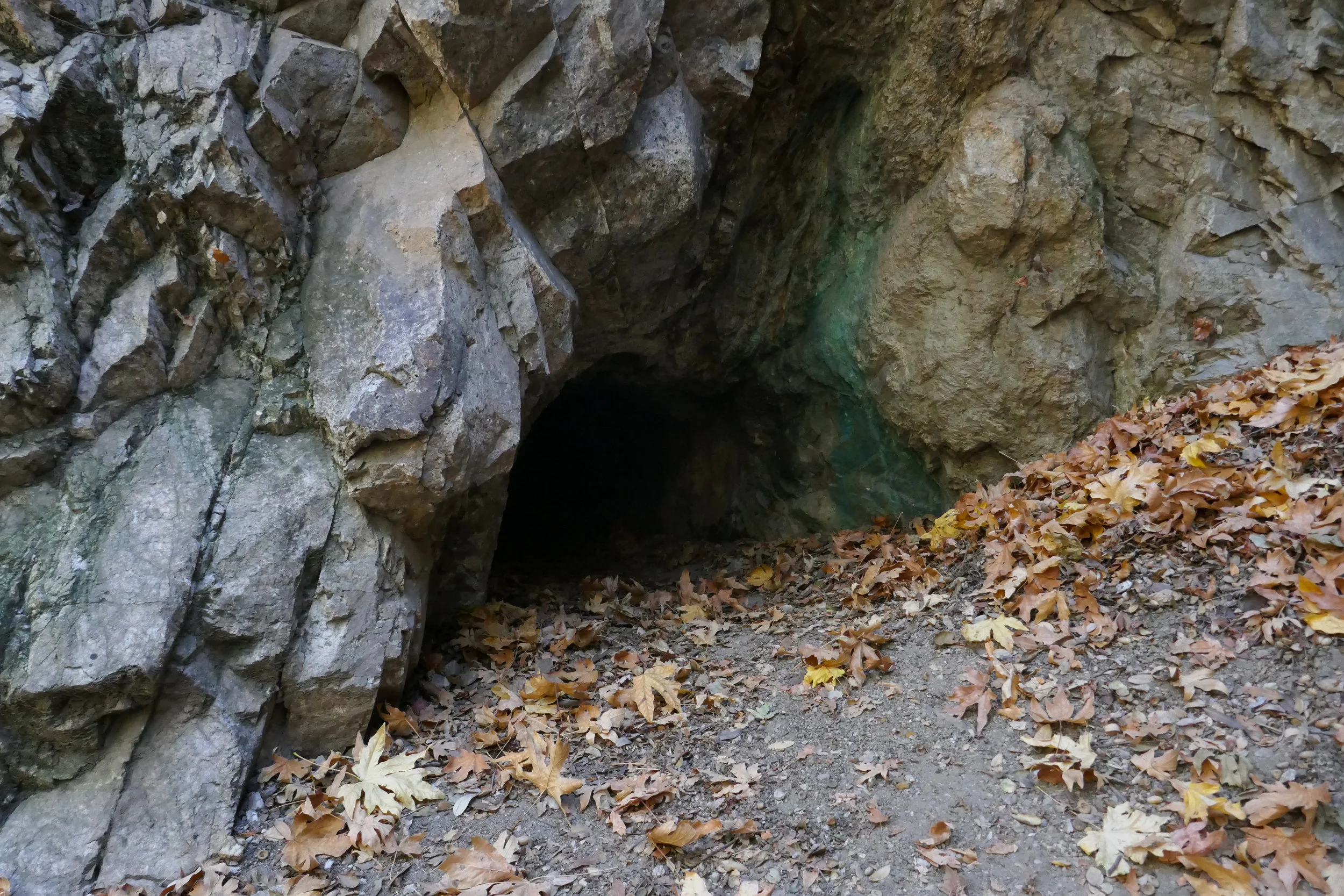 There's a cave here.