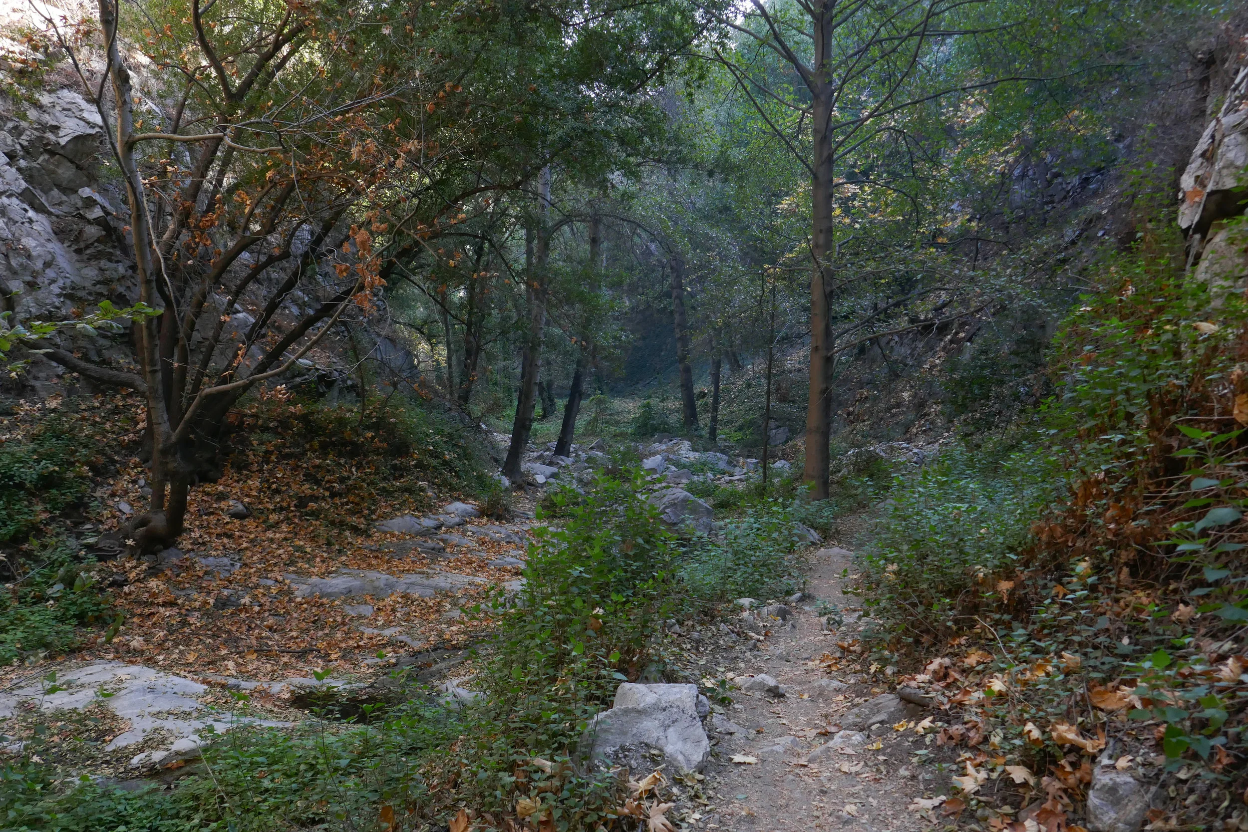 lrP1020603.jpg