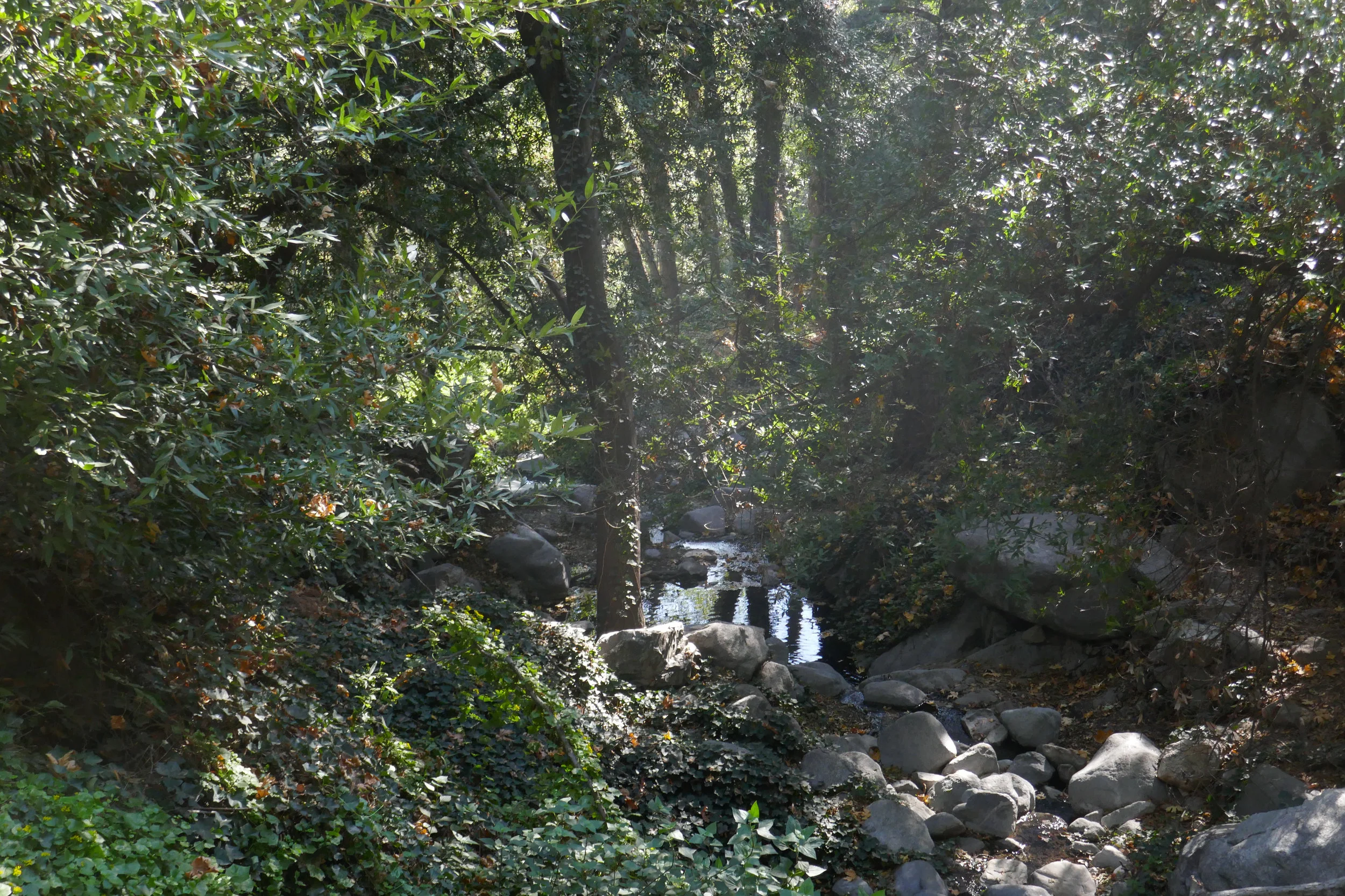 lrP1020611.jpg