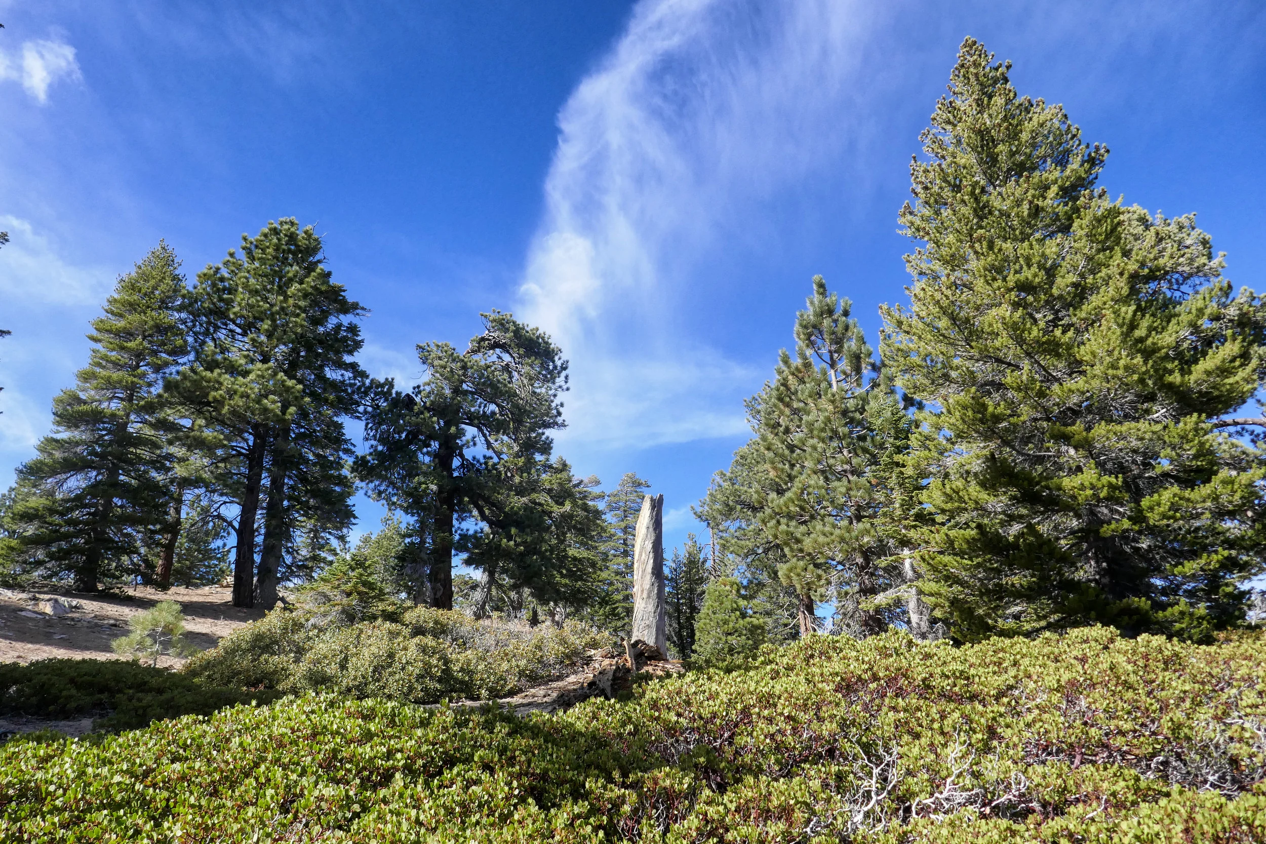 lrP1020649-Edit.jpg