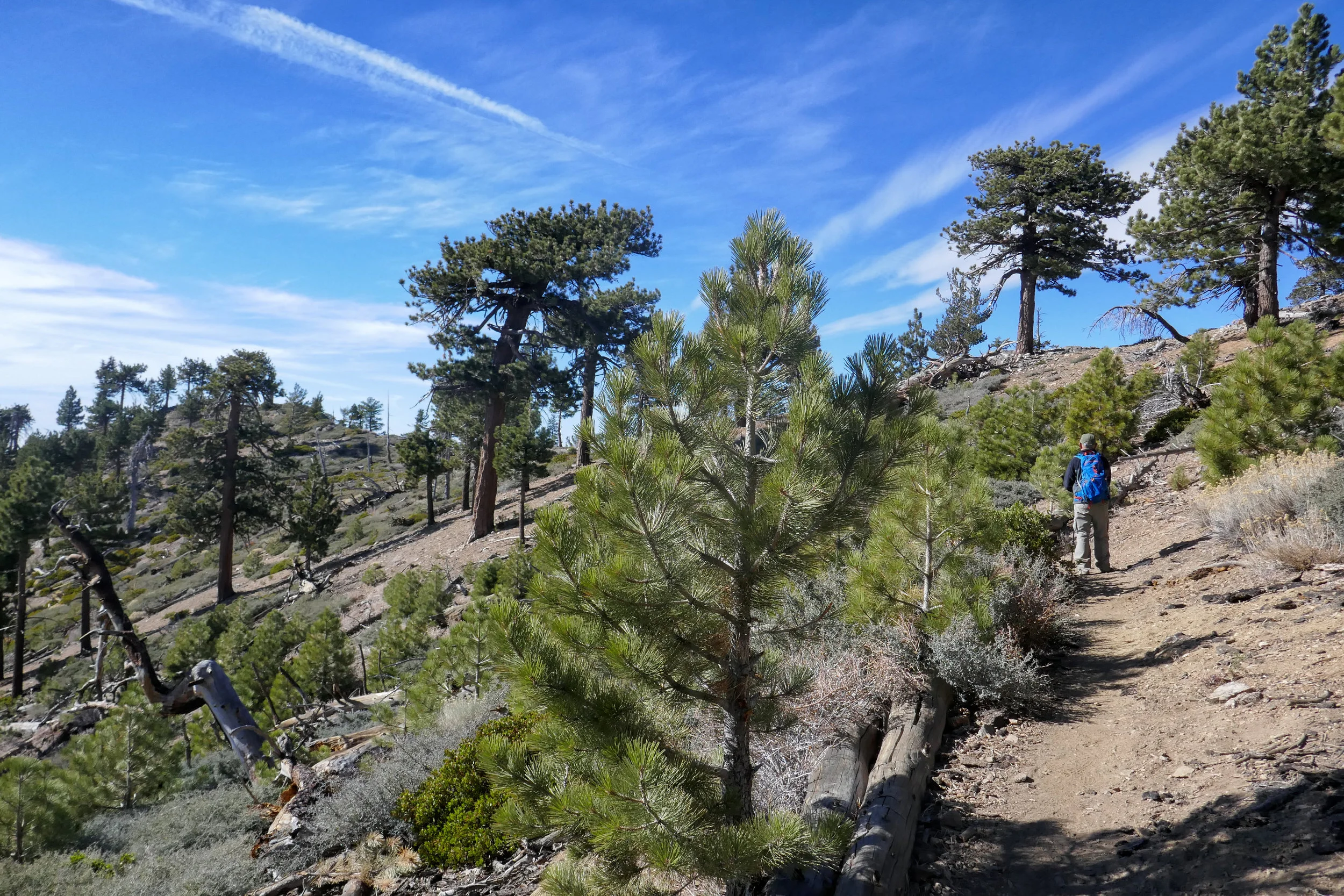 Going around Throop to Mount Hawkins.