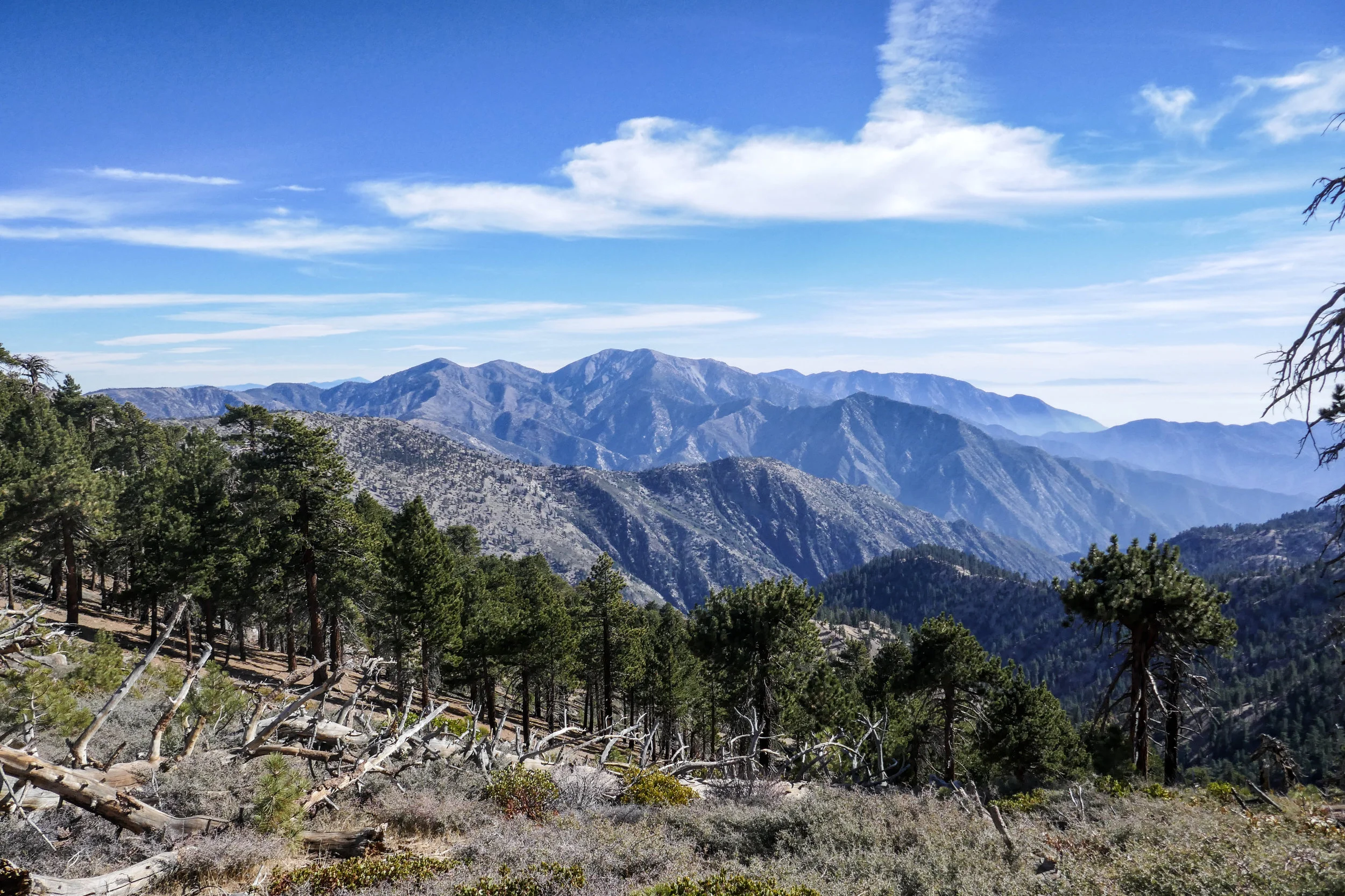 lrP1020660-Edit-2.jpg