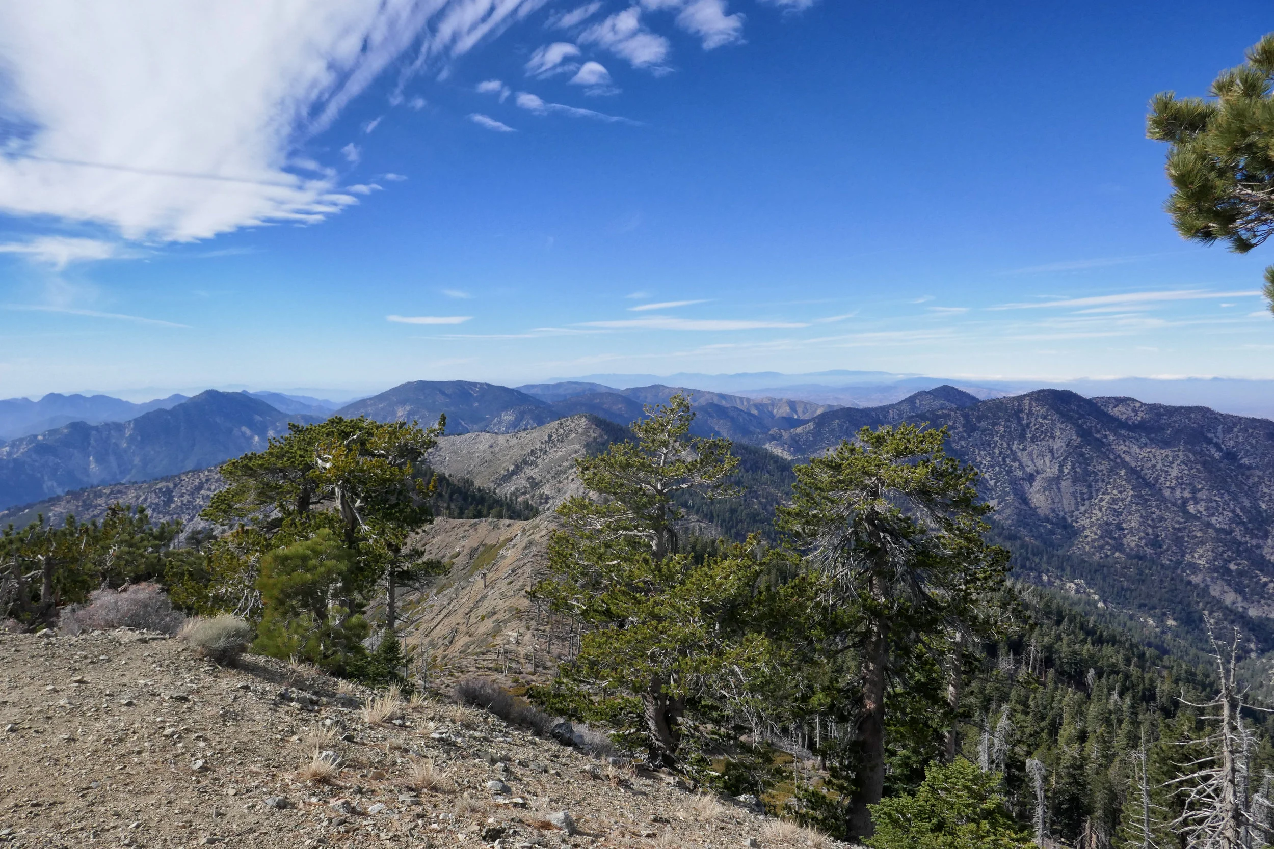 Views from the top of Mount Hawkins.