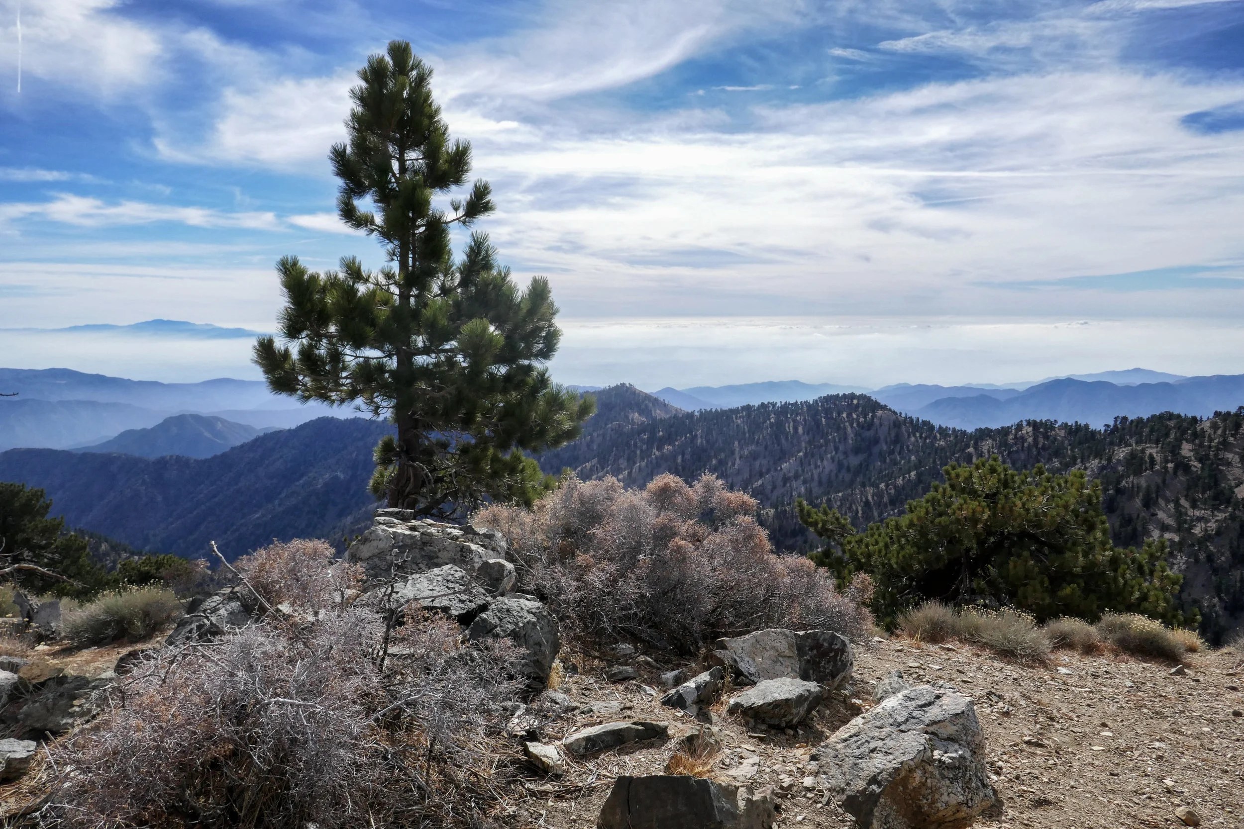 lrP1020667-Edit.jpg