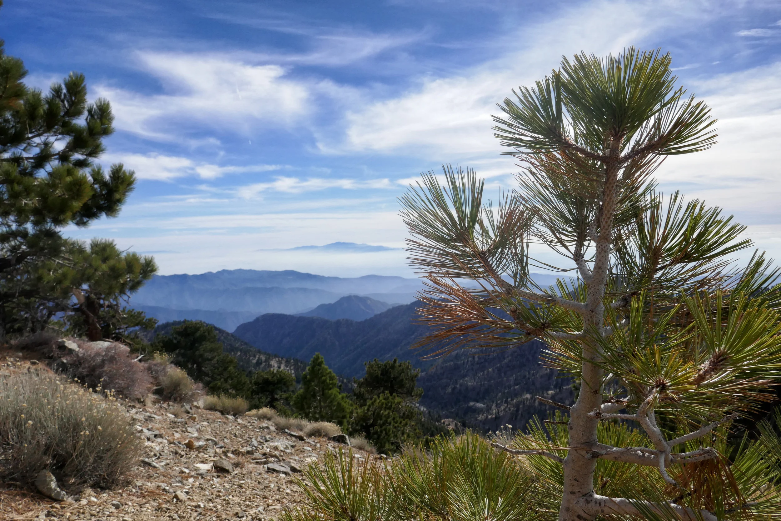 lrP1020672-Edit.jpg