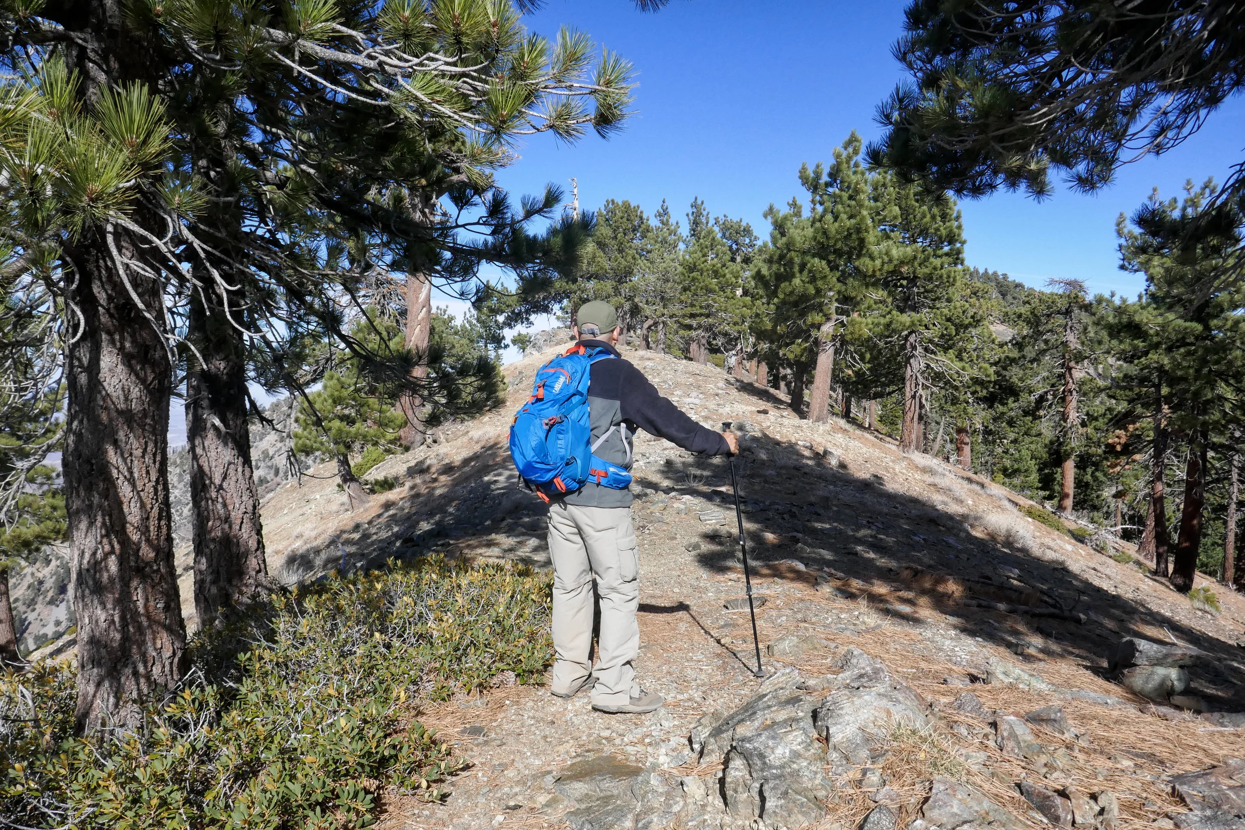 After leaving Mount Hawkins, we headed back the way we came and decided to tackle this use trail up to Throop since it was on the way back. It got a lot steeper as we went up.