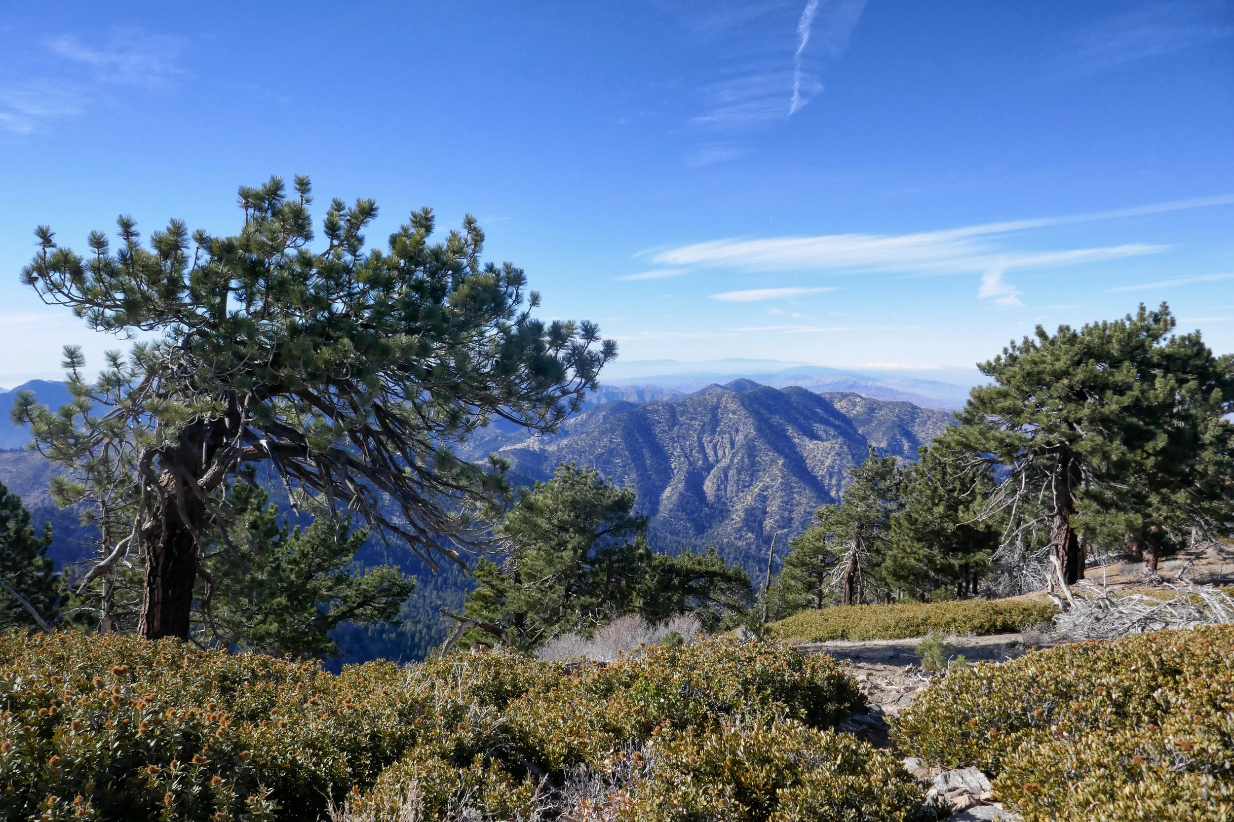 lrP1020689-Edit.jpg