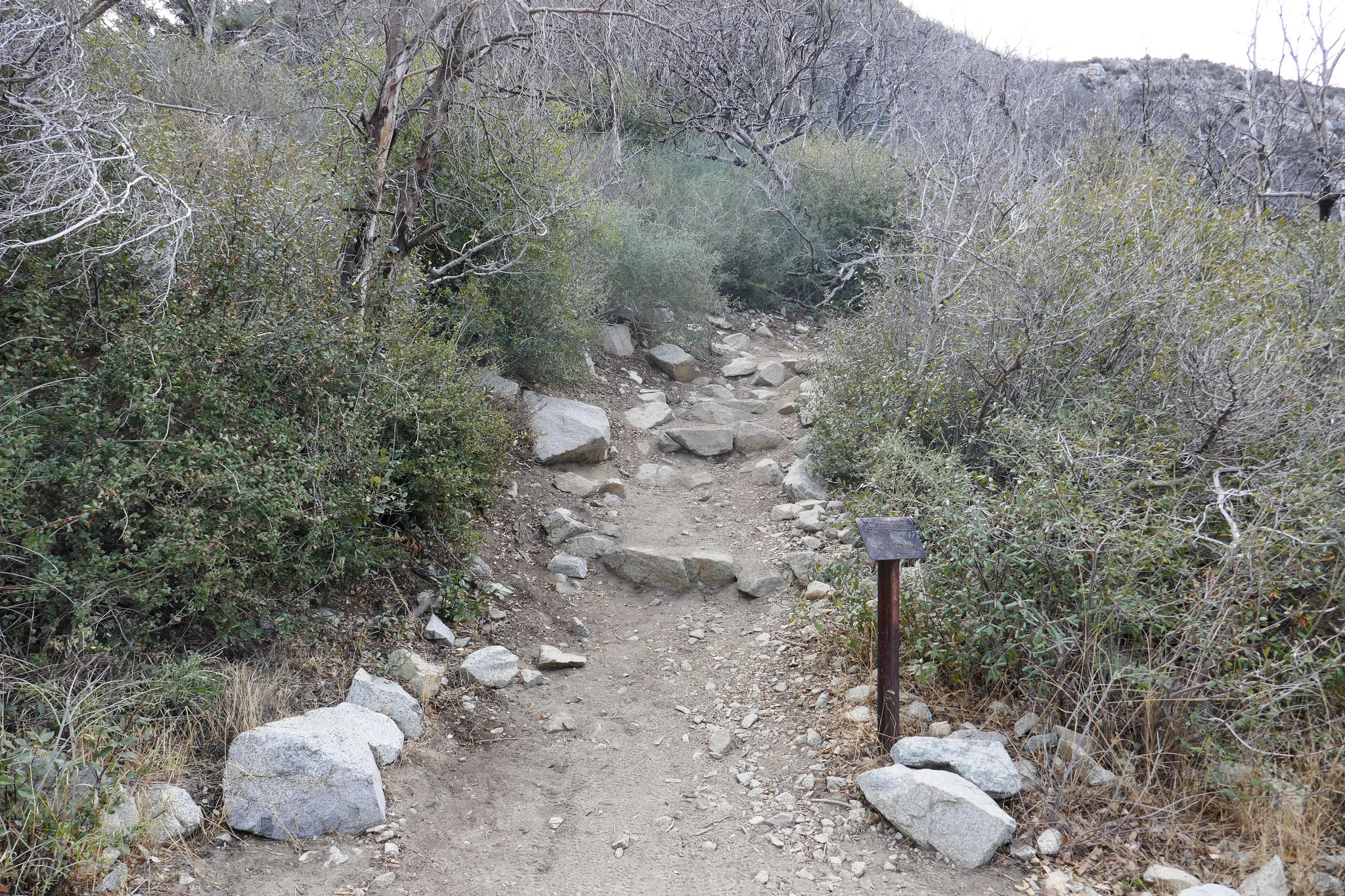 Trail to summit Mount Lowe. &nbsp;You can see the damage from the 2009 Station Fire.