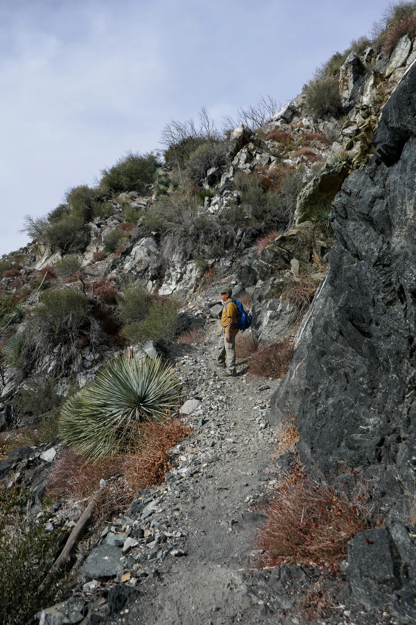 Trail up to San Gabriel Peak and Mt. Disappointment.