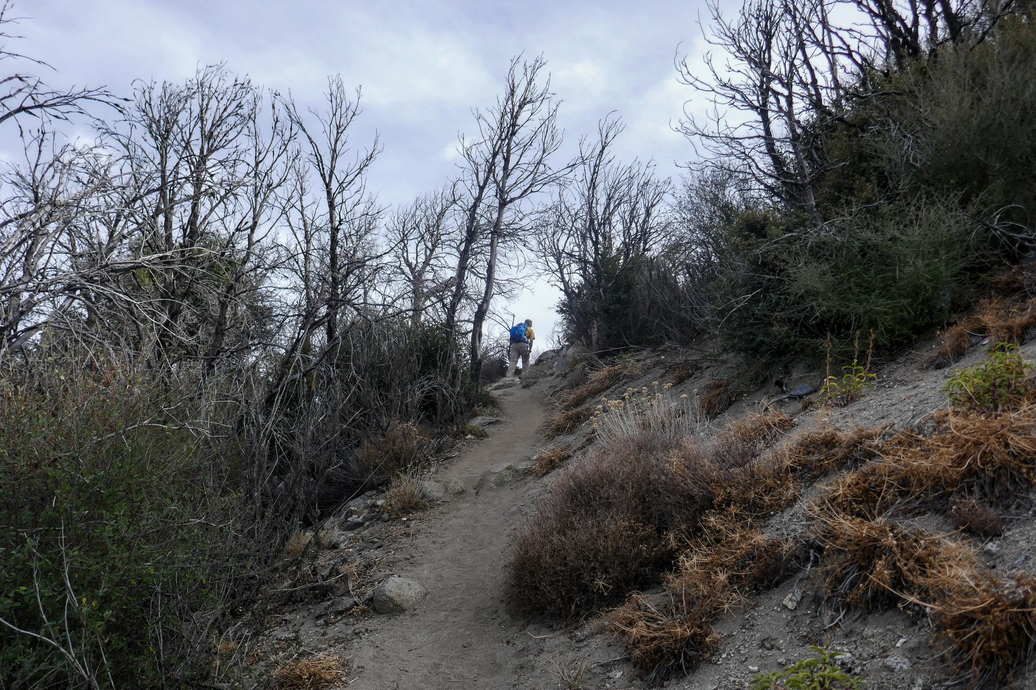 Climbing up the steep slope to San Gabriel Peak.