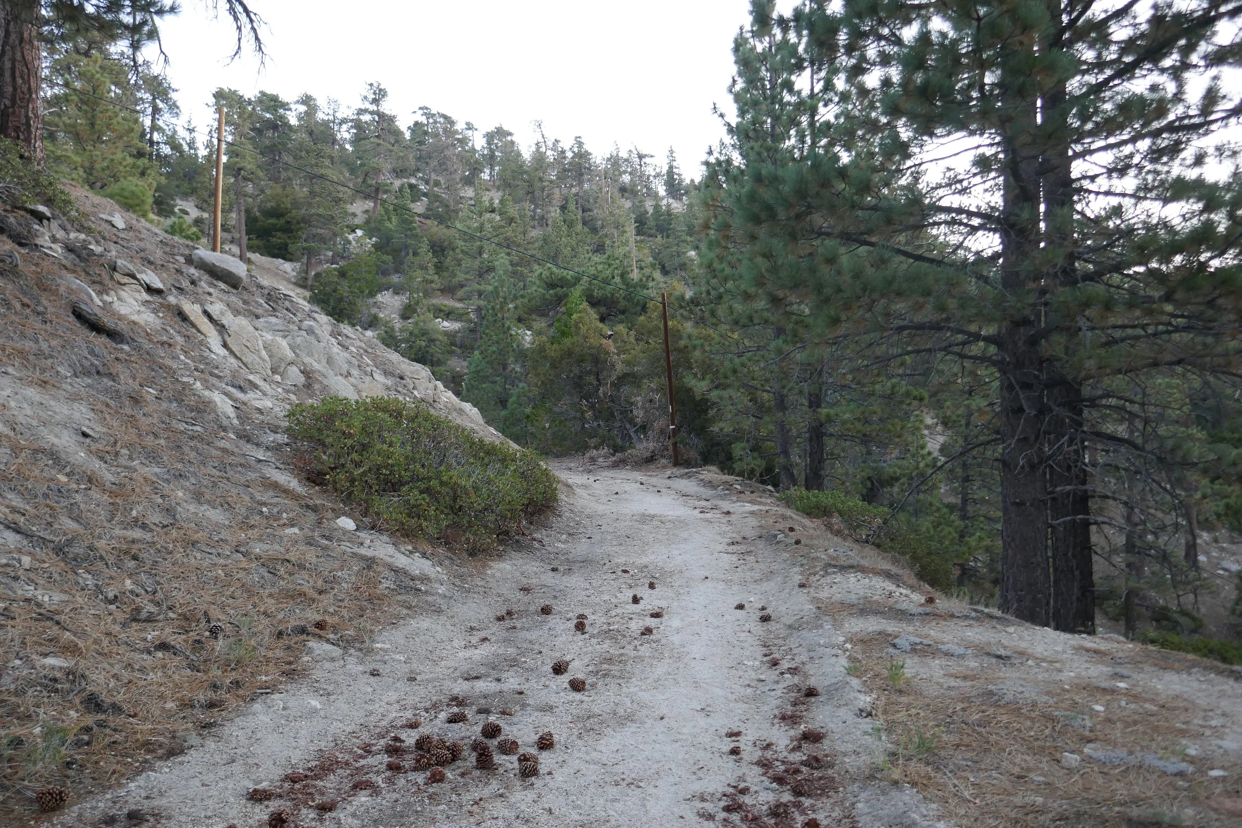 We arrive at the turnout/parking area around 6 am and start up an old fire road.