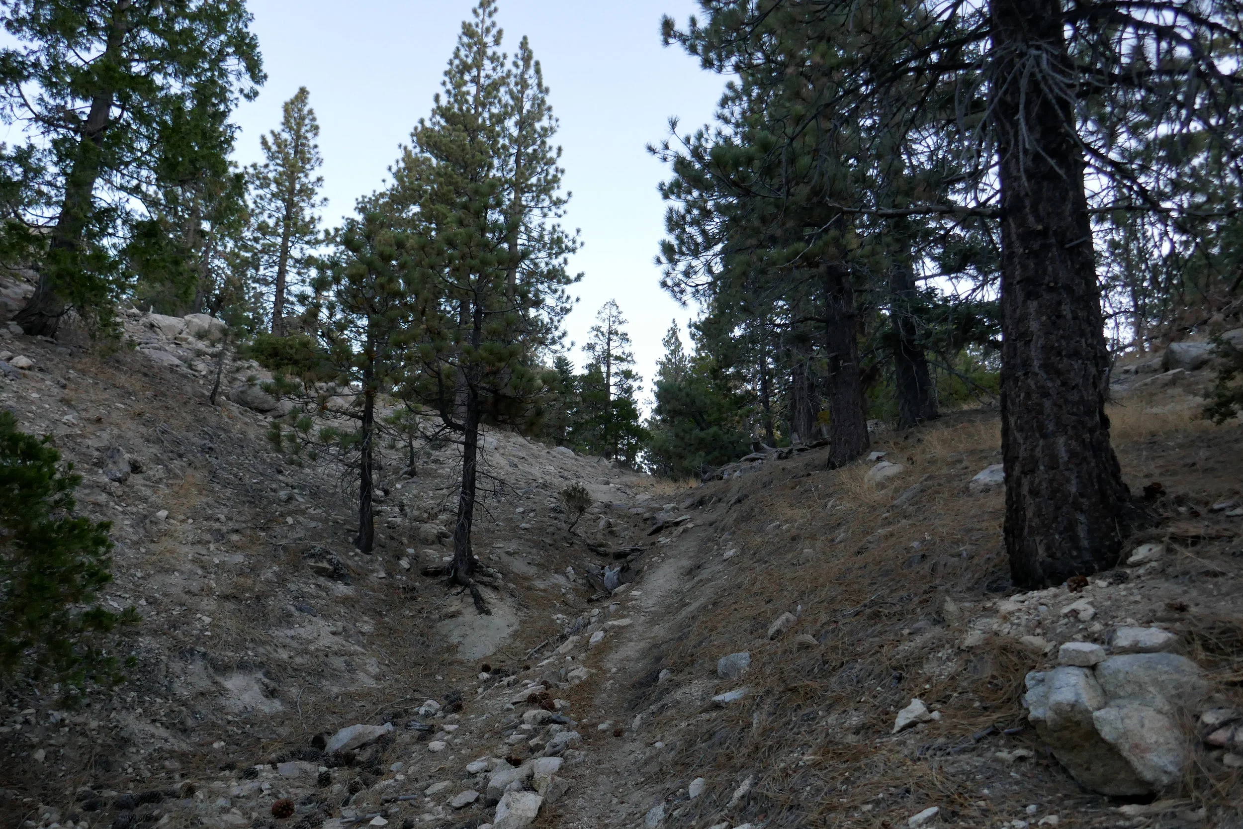 After a short walk, we see the trail leading up to the peak and decide to go straight up before exploring more of the little mountain.