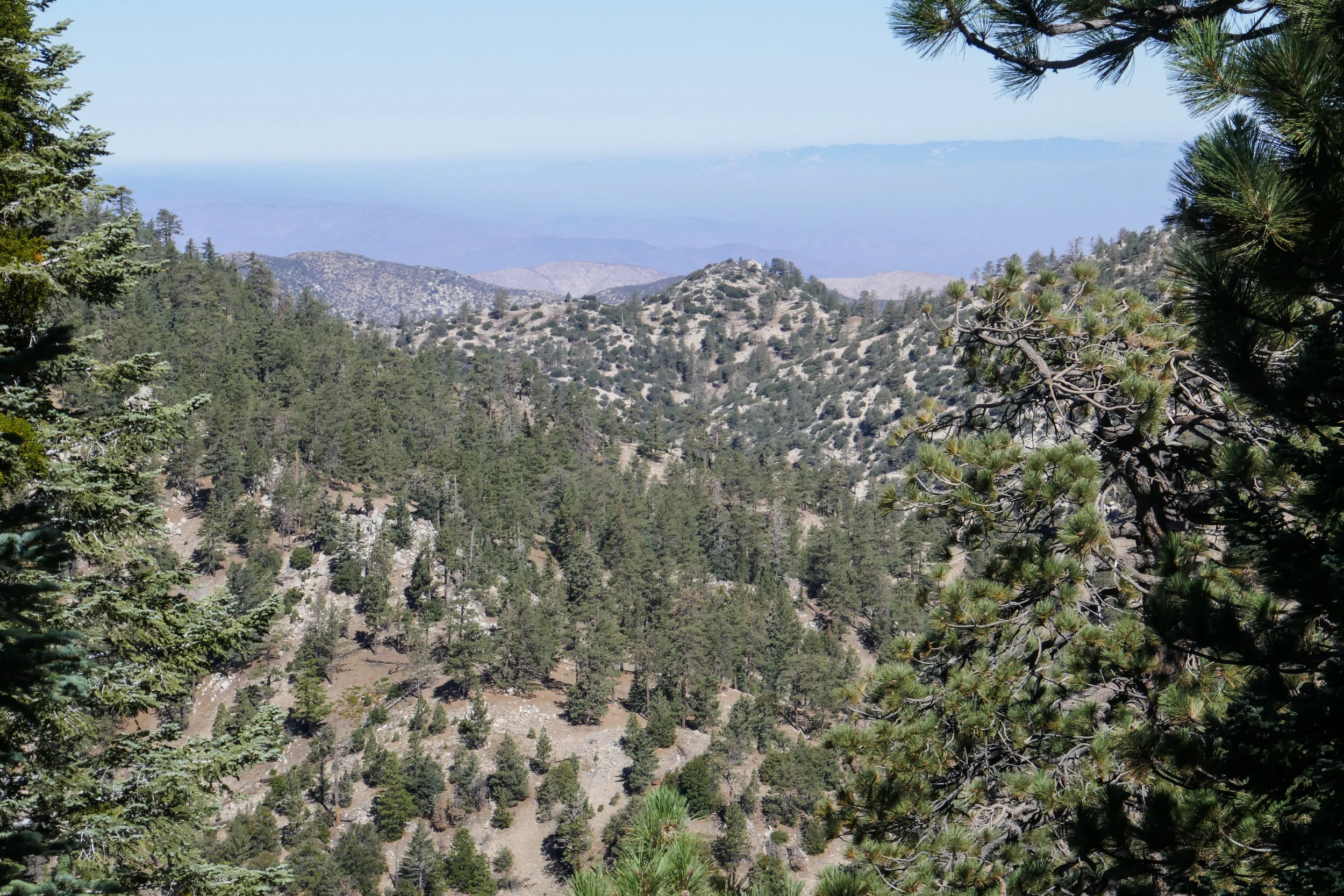 We take a stroll around the flat top of the peak to see if we can get any views. 