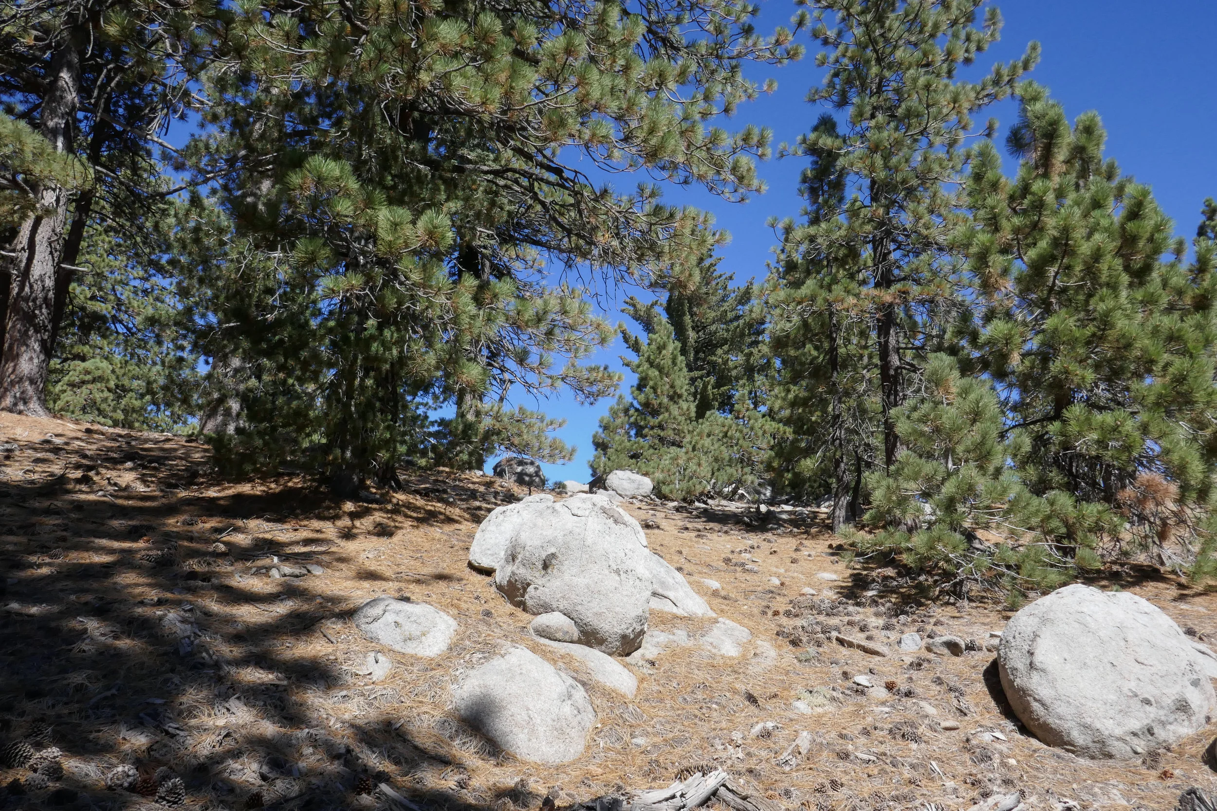 I take a lot of photos as we trail blaze our way back to the top.