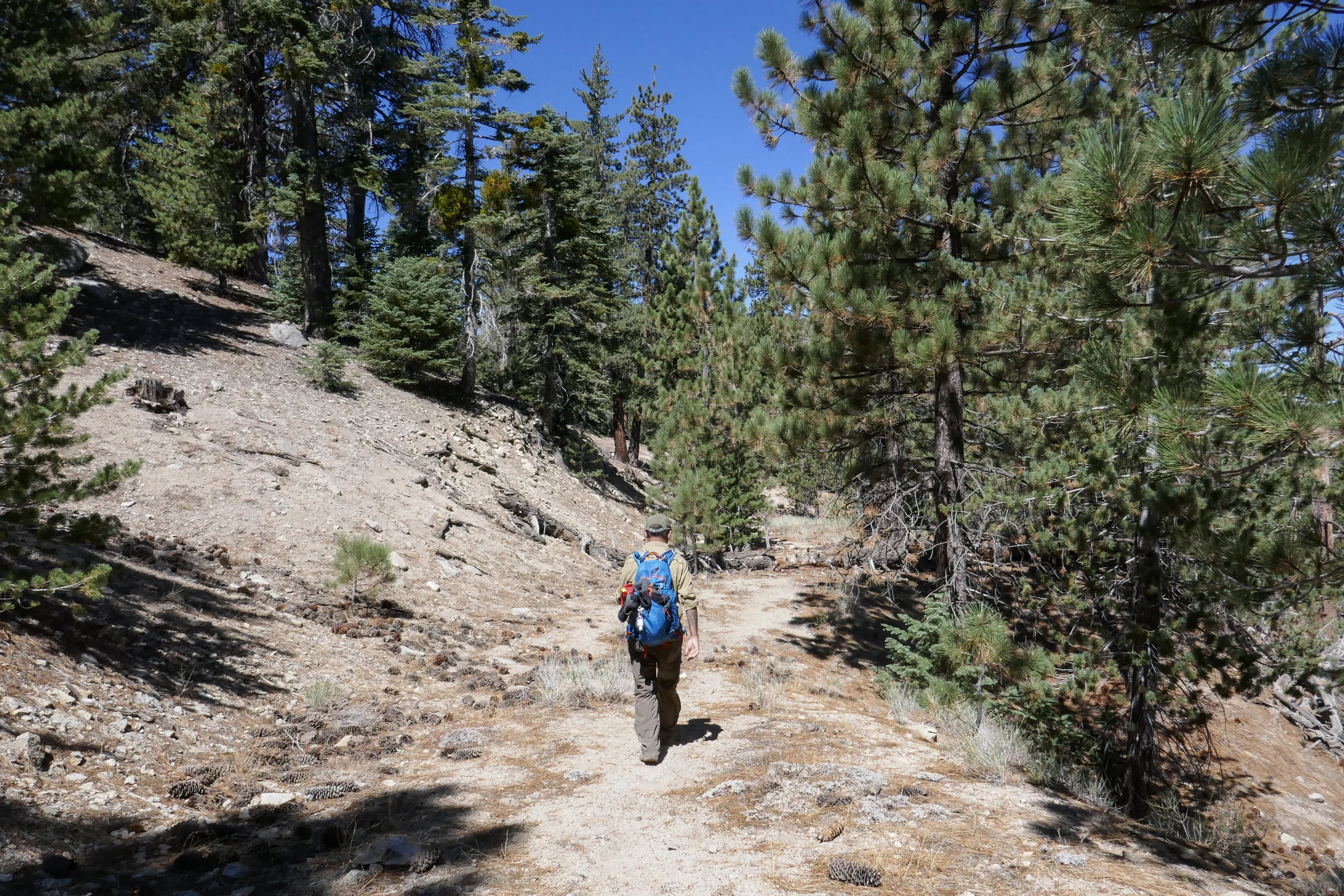 We take one more side trip before getting back on the trail leading to the parking area. It's already close to 11 am and we are hungry for lunch, so we decided to explore it another time.