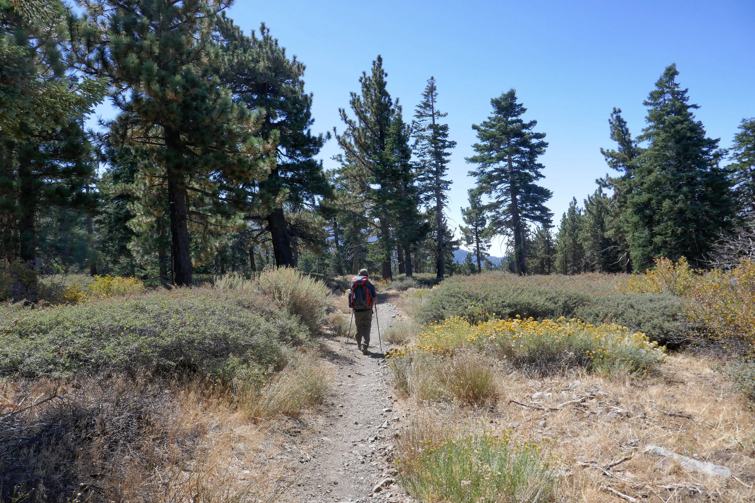 After a our break and some time relaxing, we headed back down the trail.