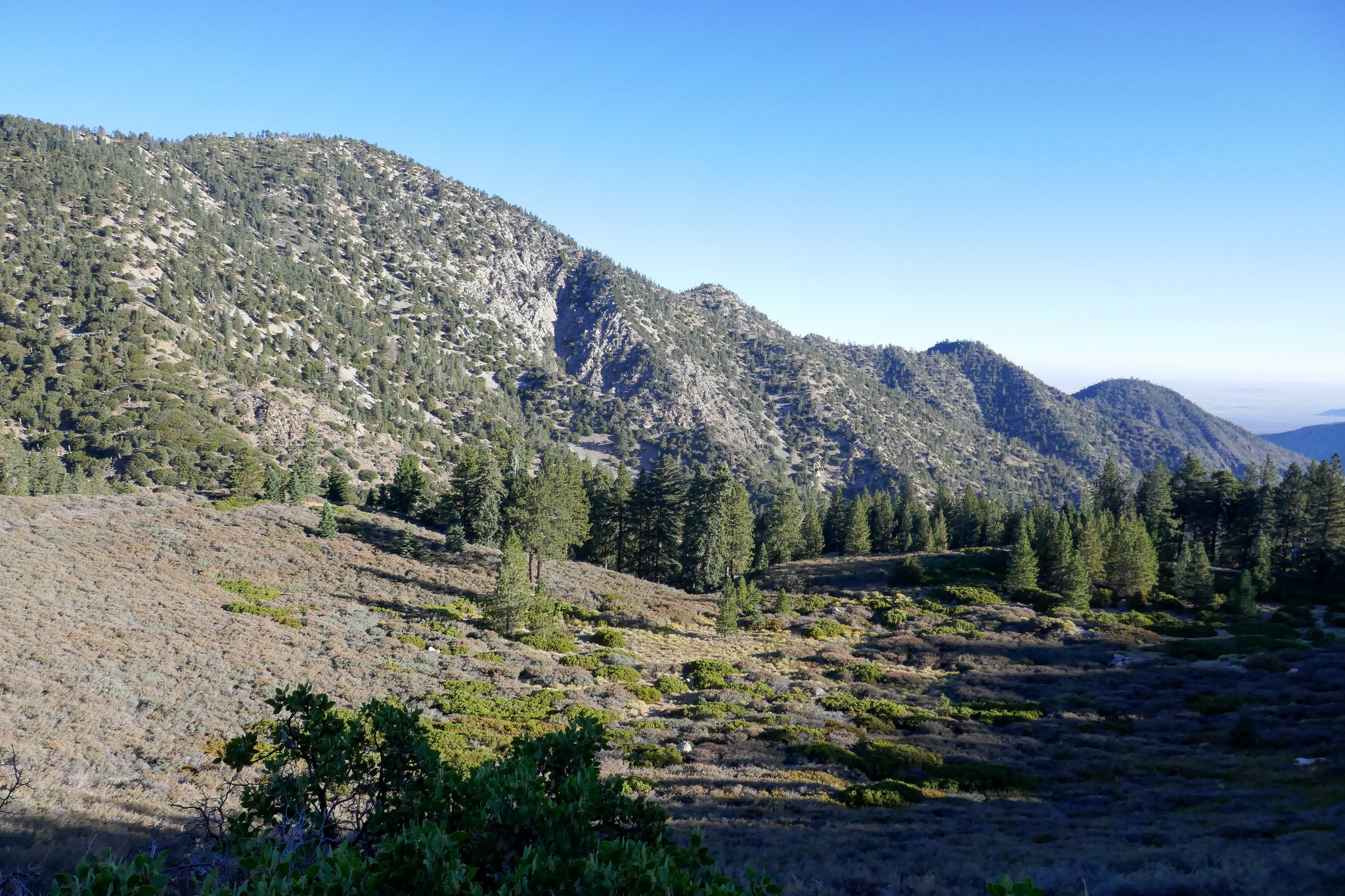 Looking north and down into the meadow.