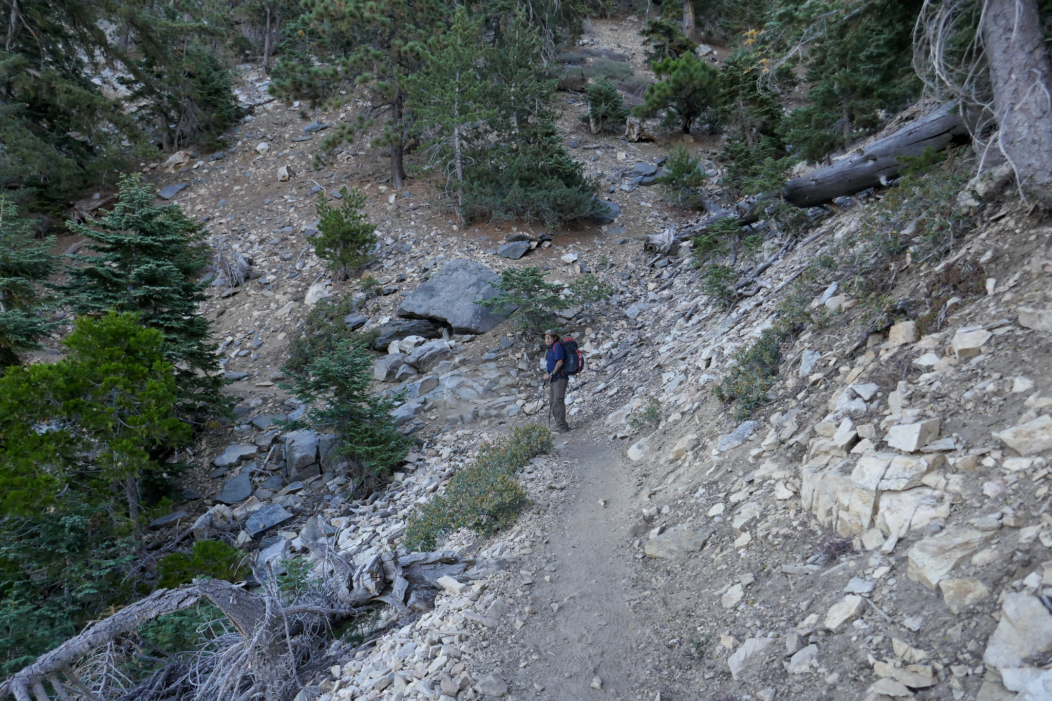 I’d almost forgotten how beautiful this hike is.