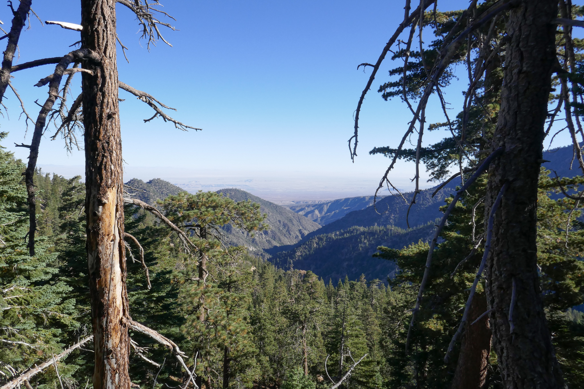 The view north looking out towards the desert.