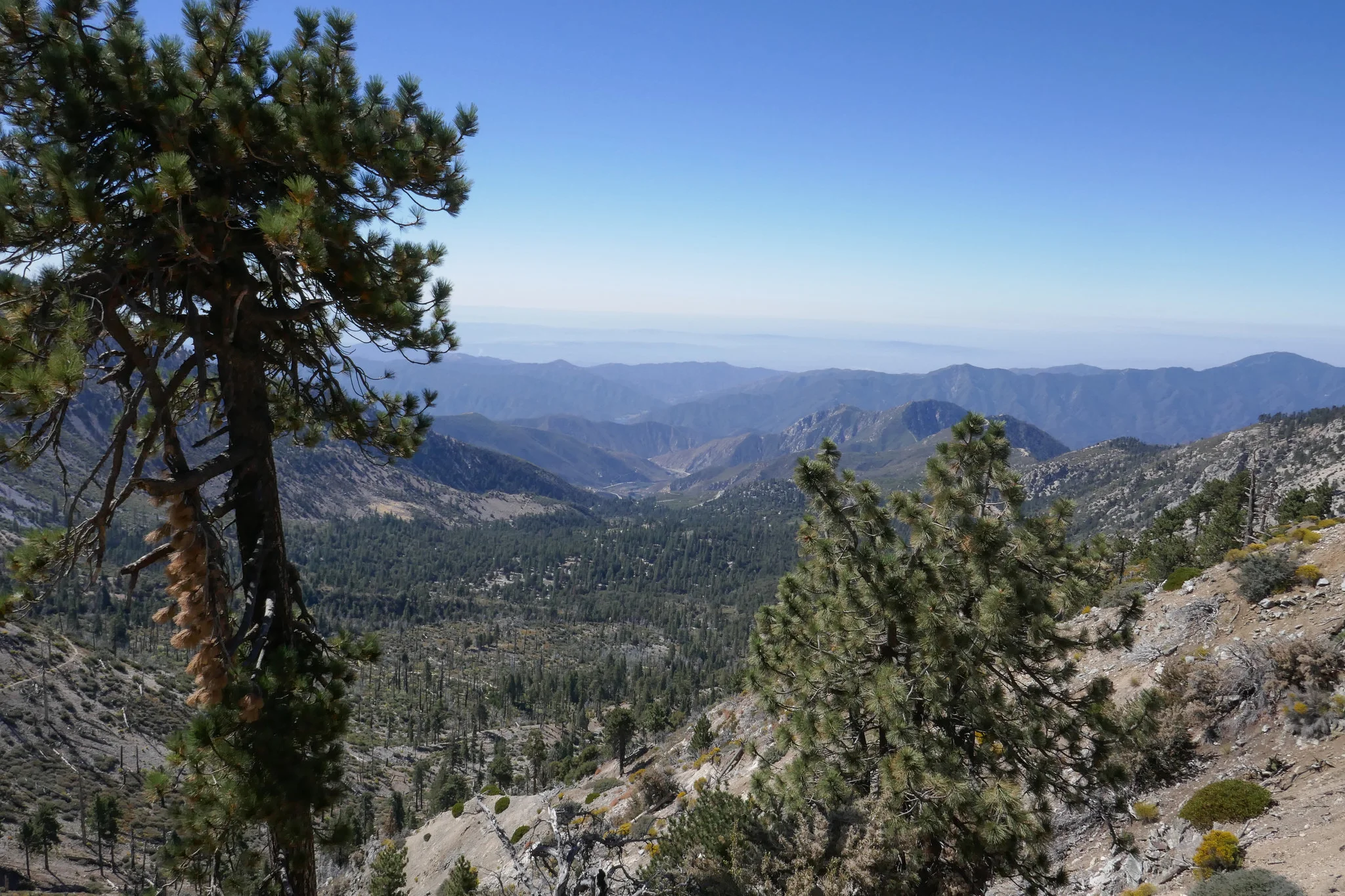As we climb, the views looking south towards Crystal Lake are stellar.