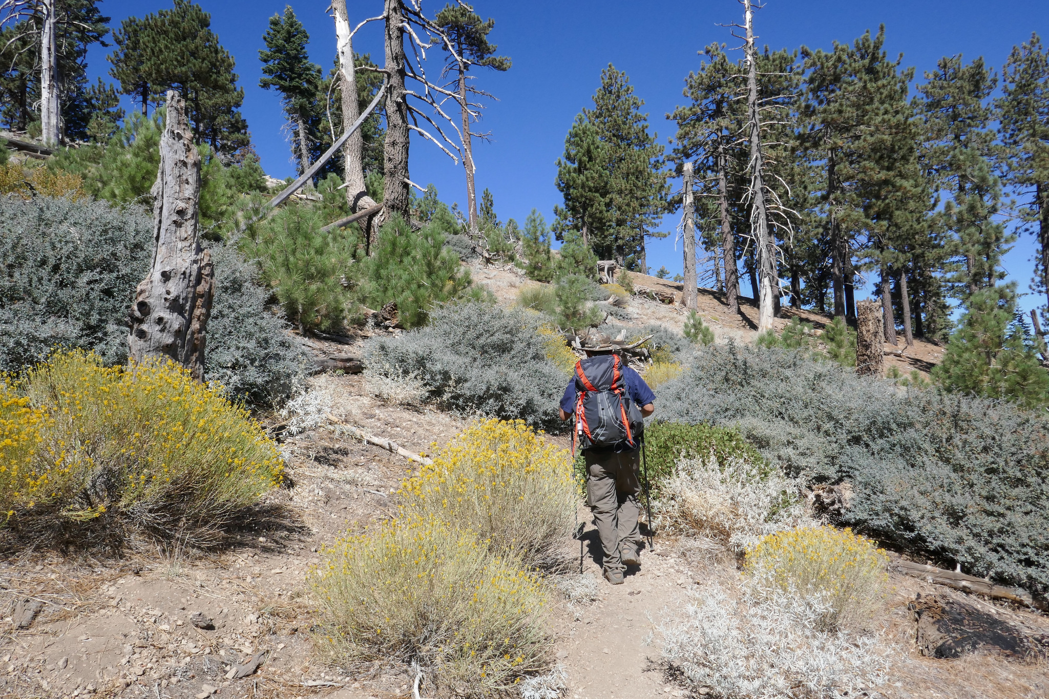 Although we’re now in full sun, it’s not at all hot. We’re really enjoying this hike (and the lighter weight of our packs!)