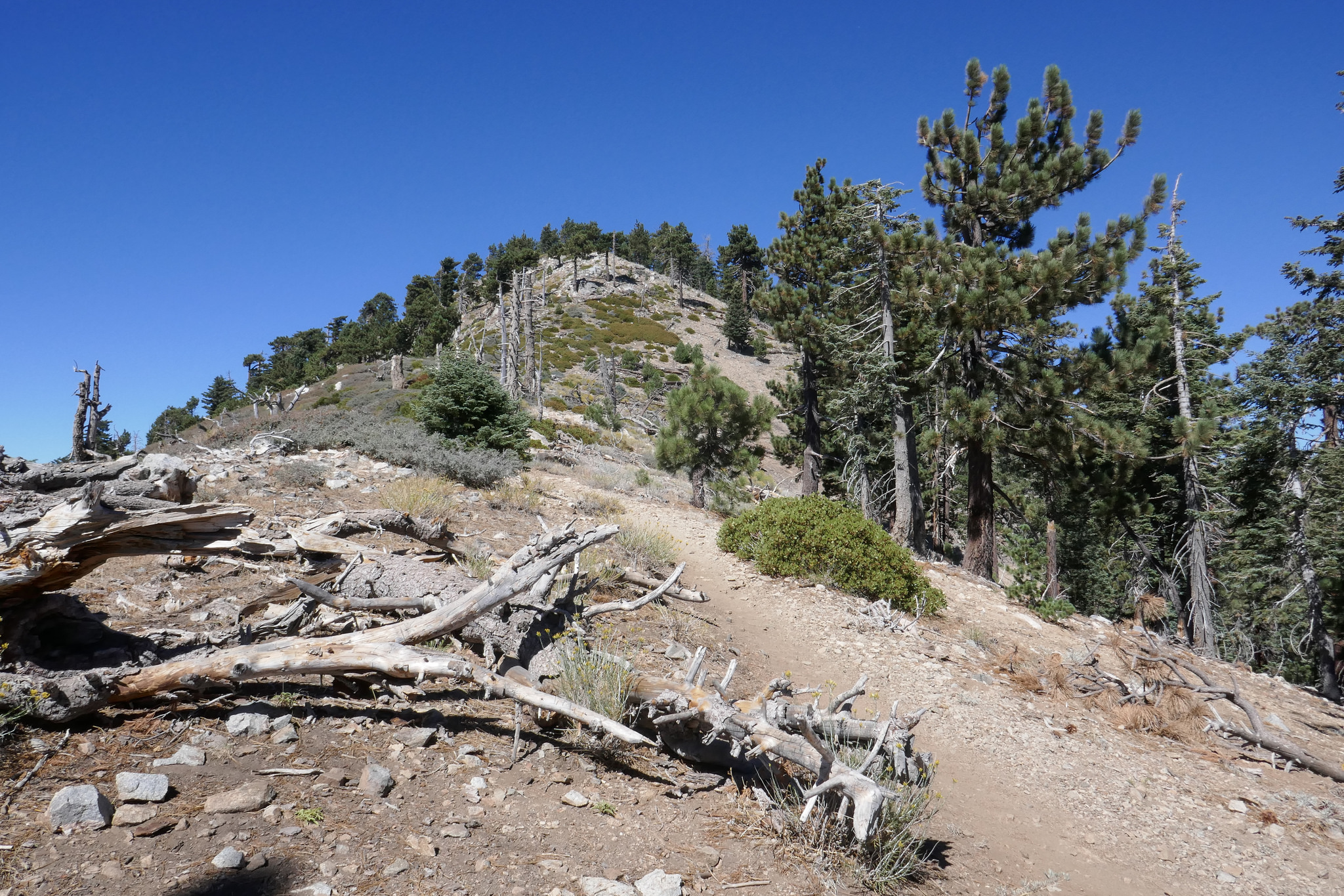The top of Mount Islip comes into view.