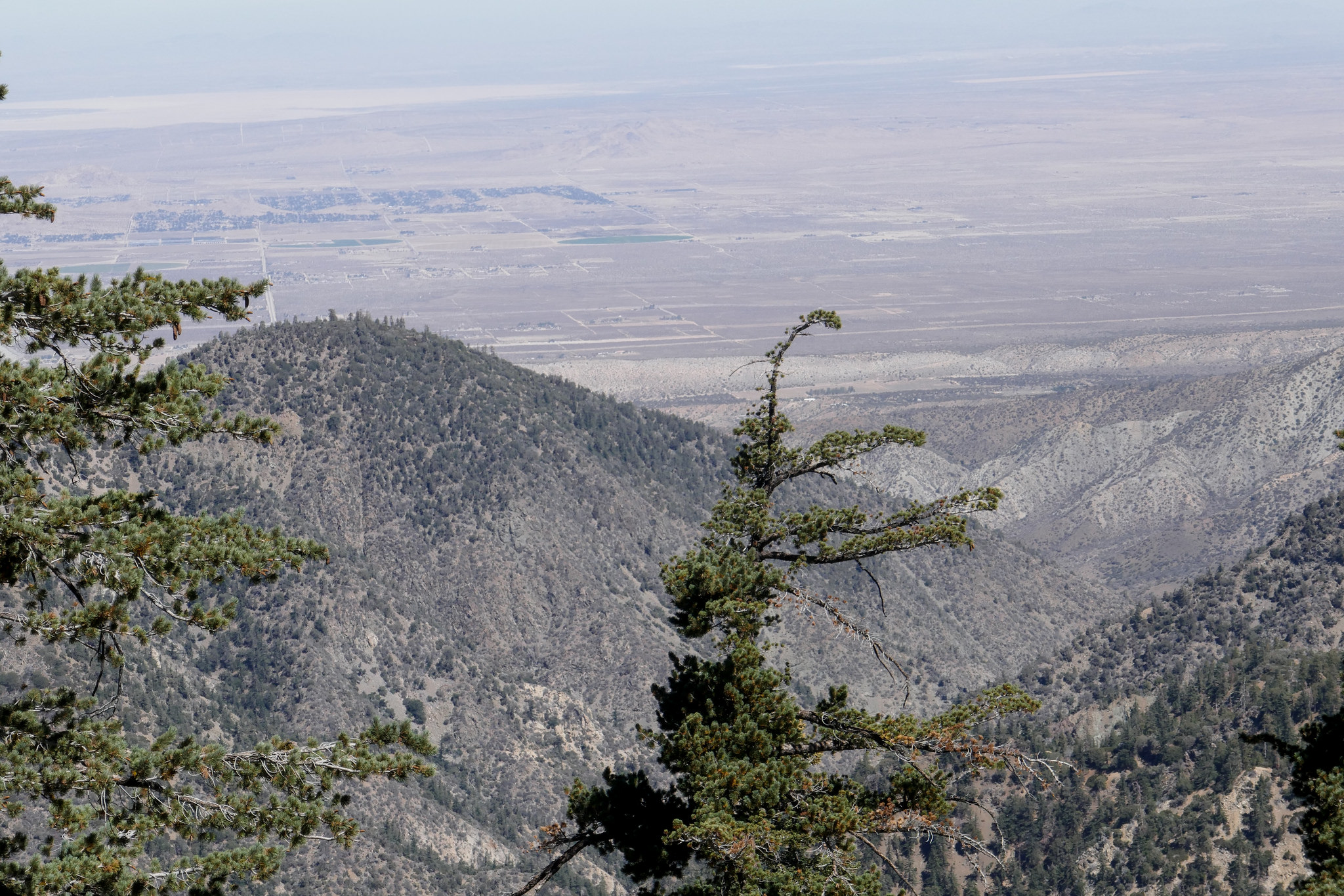 Close up looking towards Palmdale.