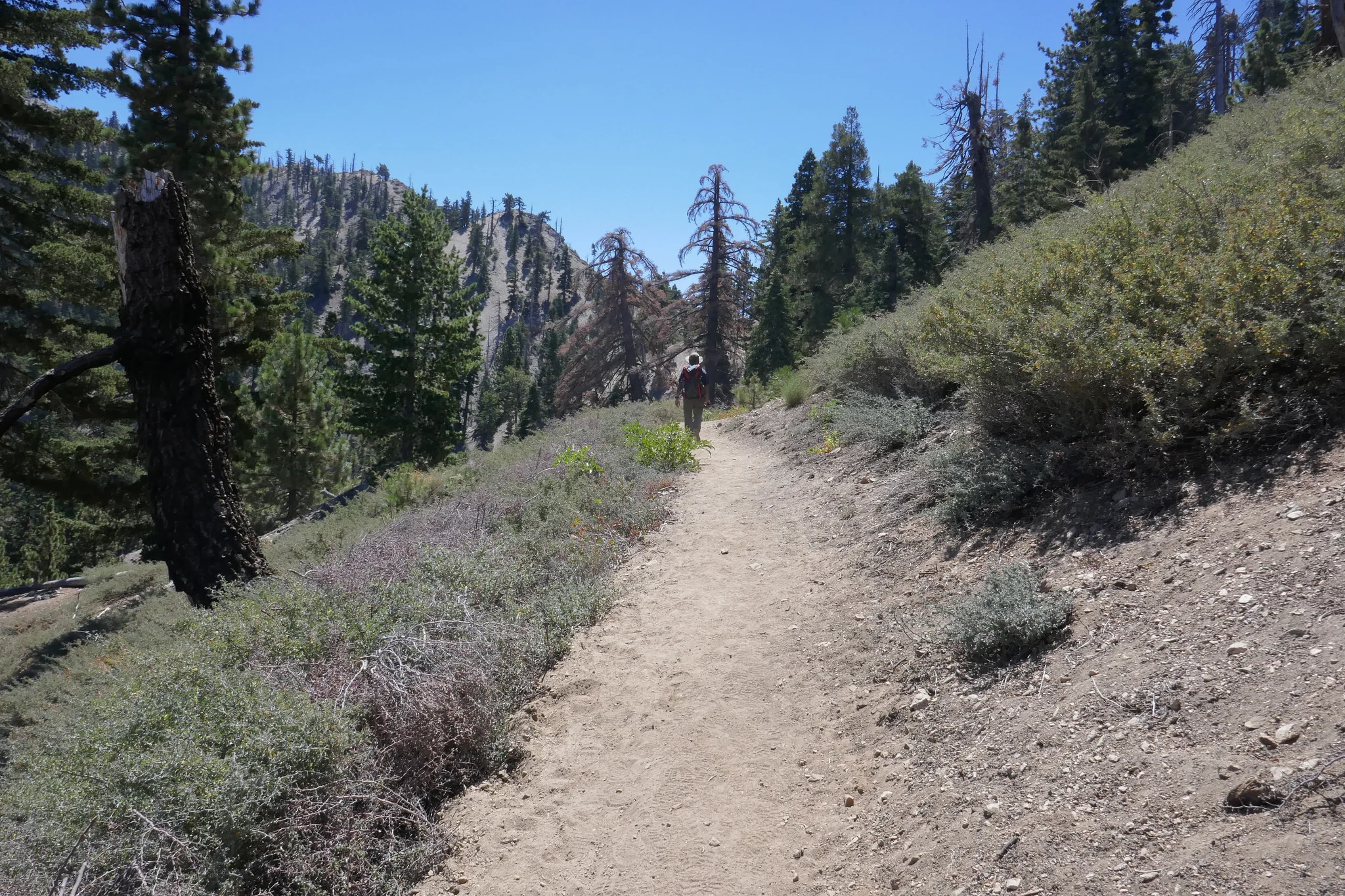 The spring is just a short walk from camp.
