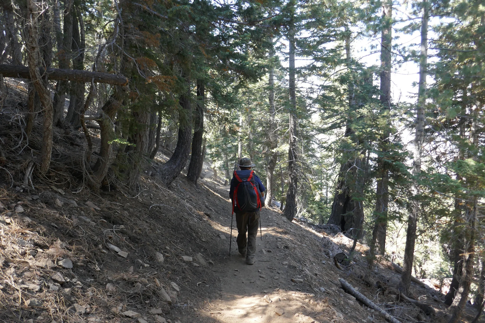The smell of smoke becomes stronger as we hike along.