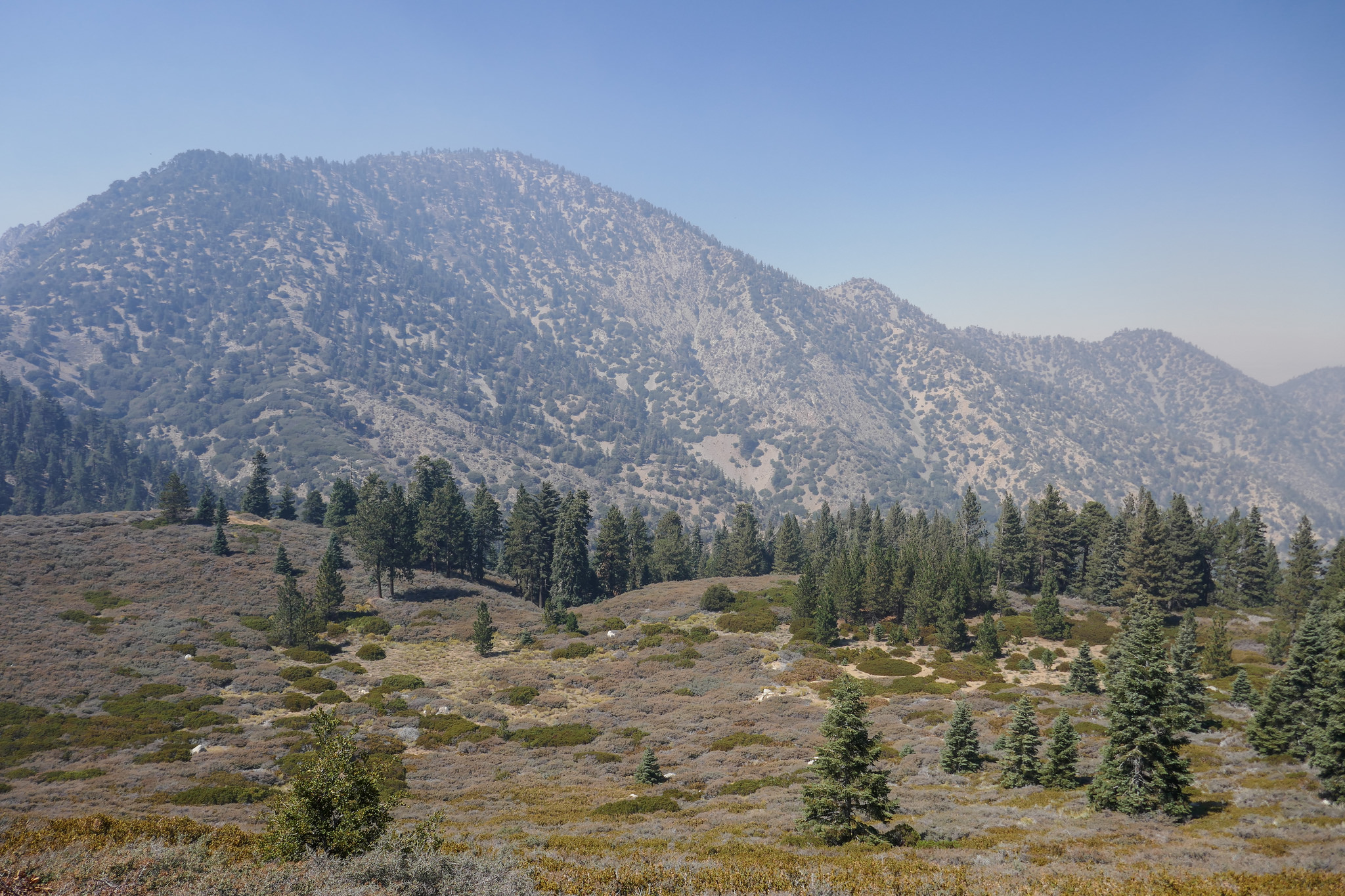 Looking towards Mount Williamson.