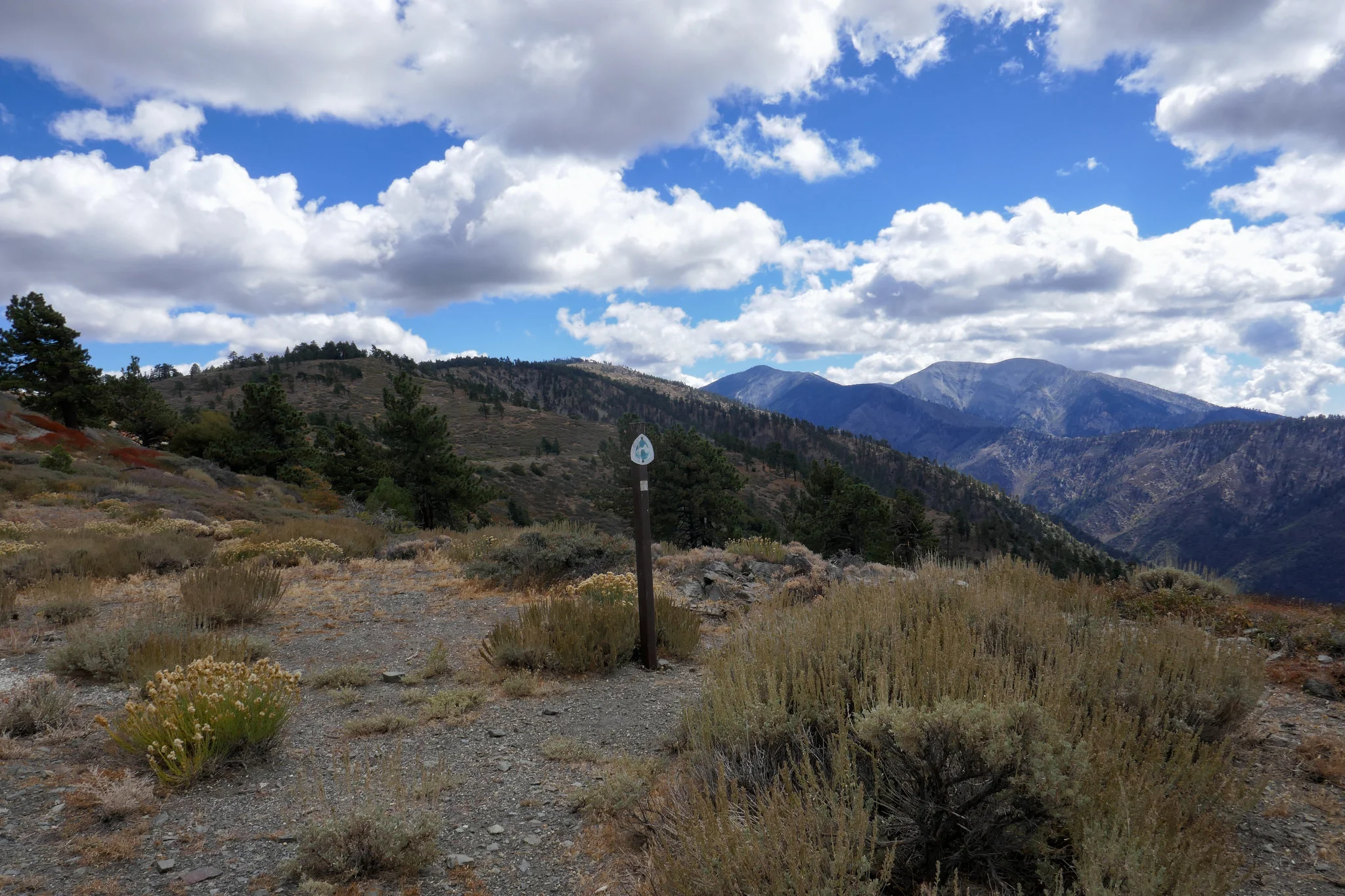 We hiked some of the PCT in Wrightwood from Inspiration Point before making camp.