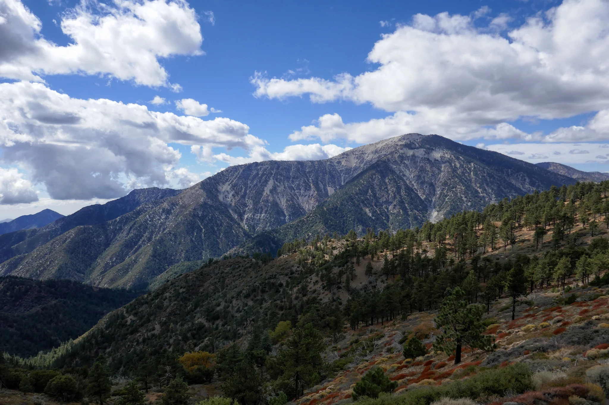 Looking over at Mt. Baden-Powell from Blue Ridge.