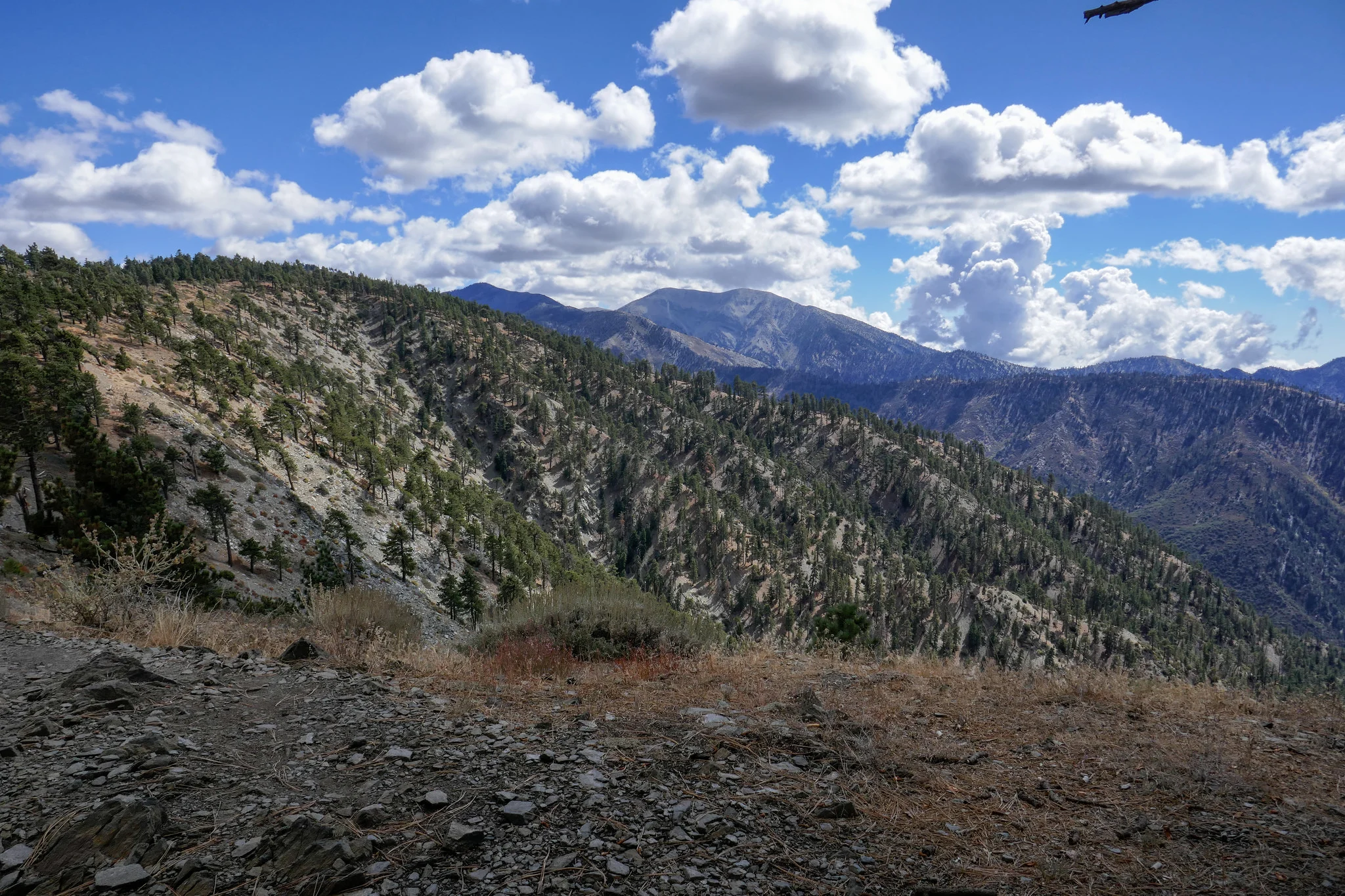 Looking towards Mt. Baldy/Mt. San Antonio.