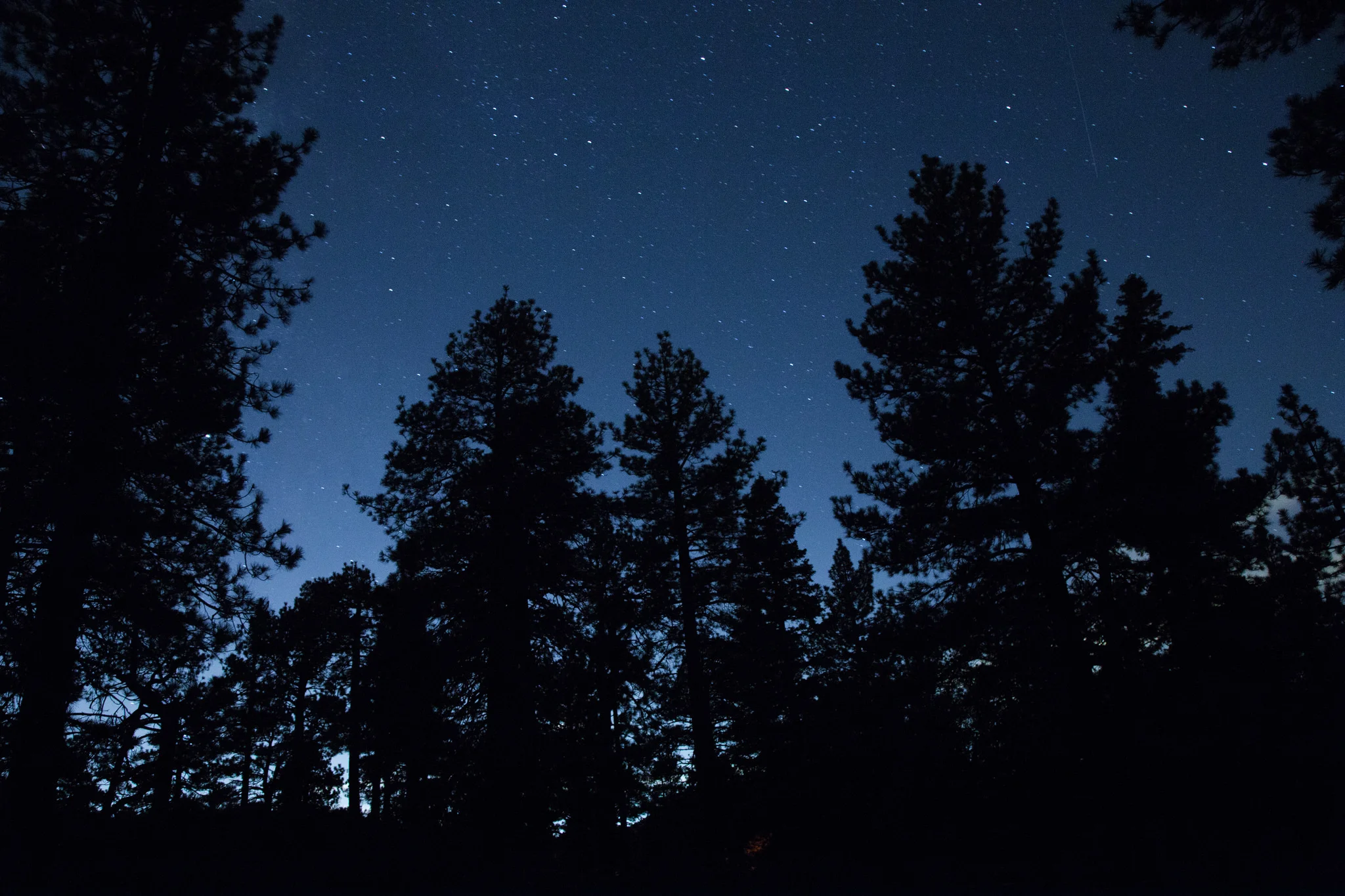 The Nightsky.