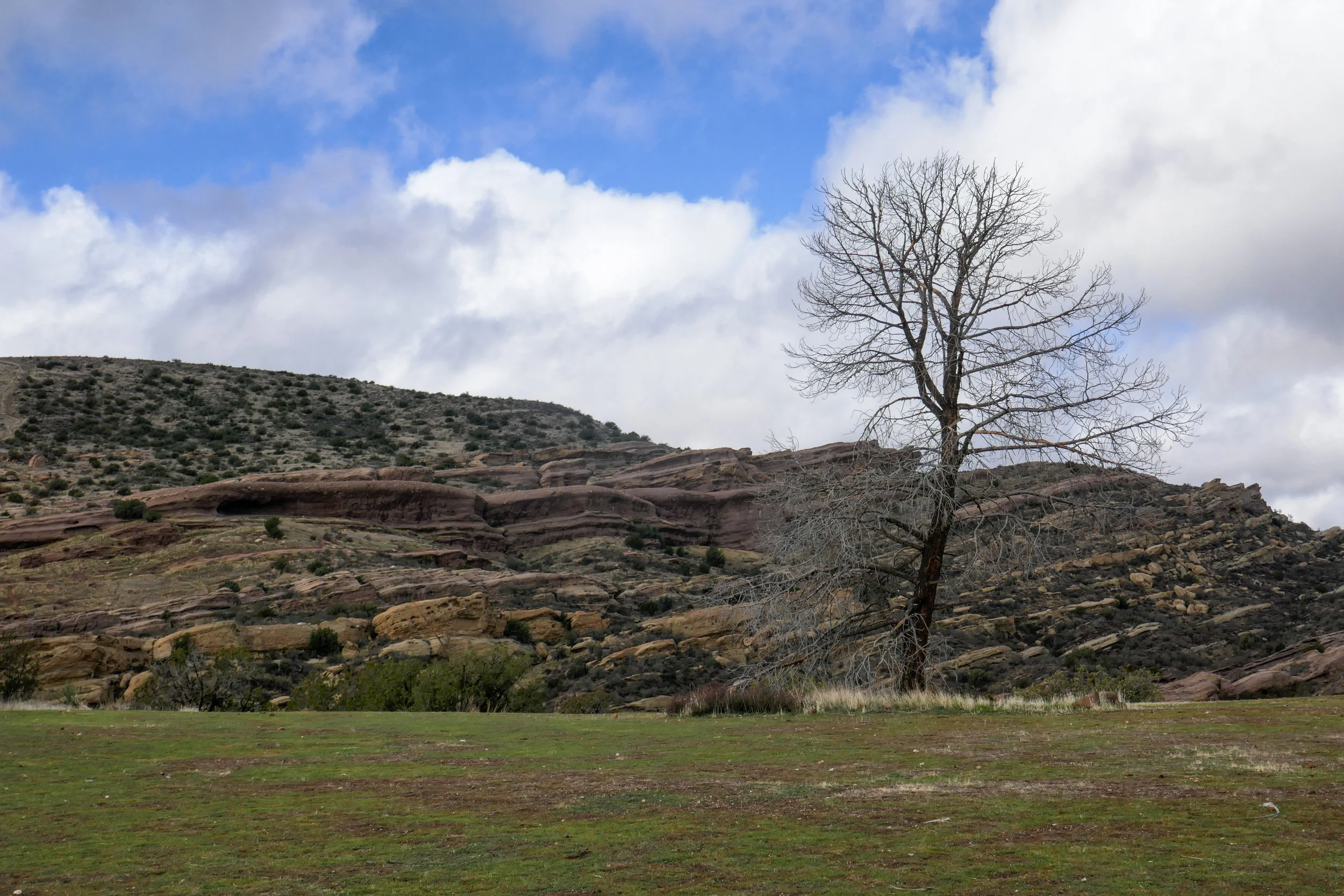 lrP1150765-Edit.jpg